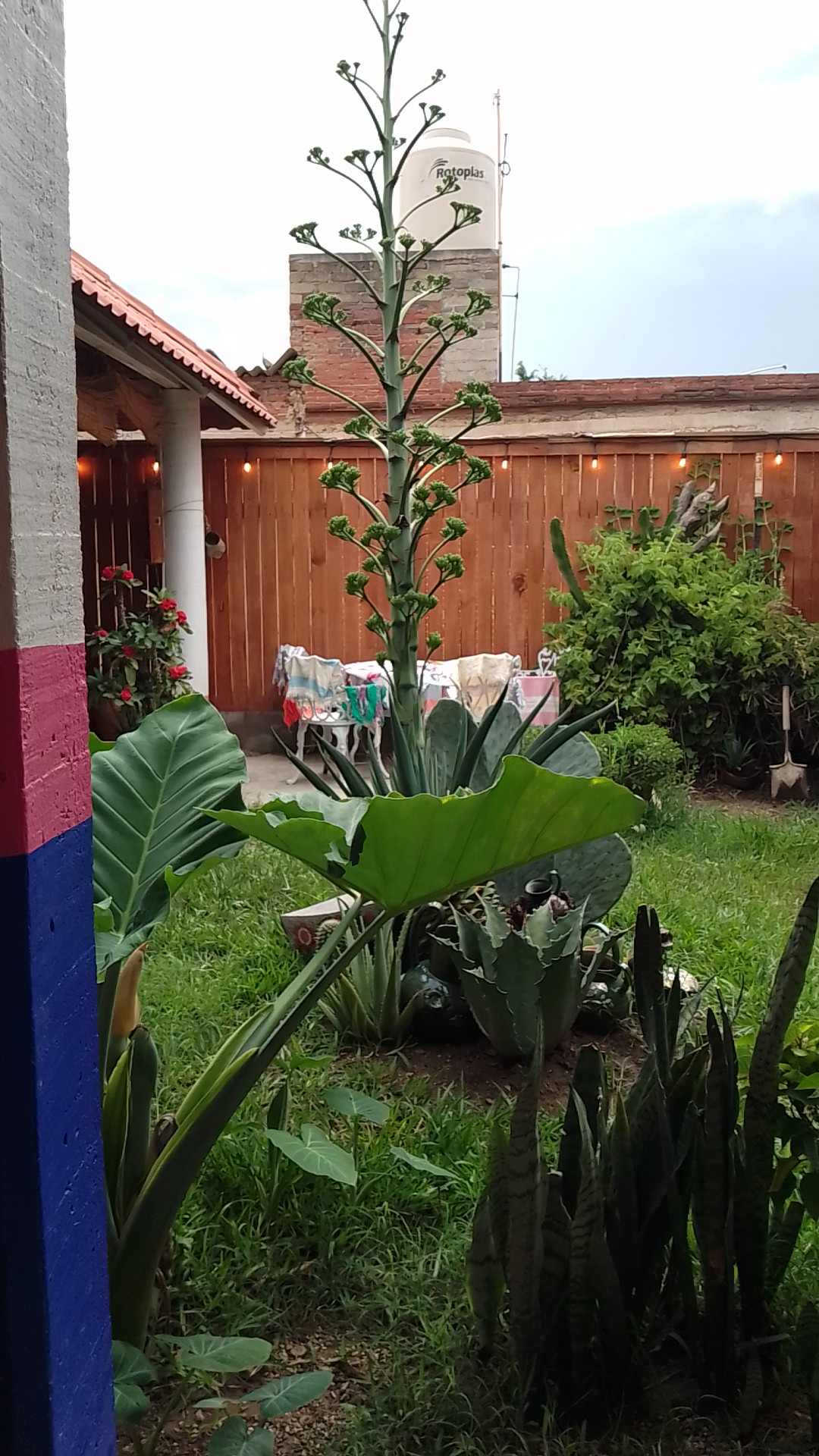 Restaurante bar Camino Real image 7