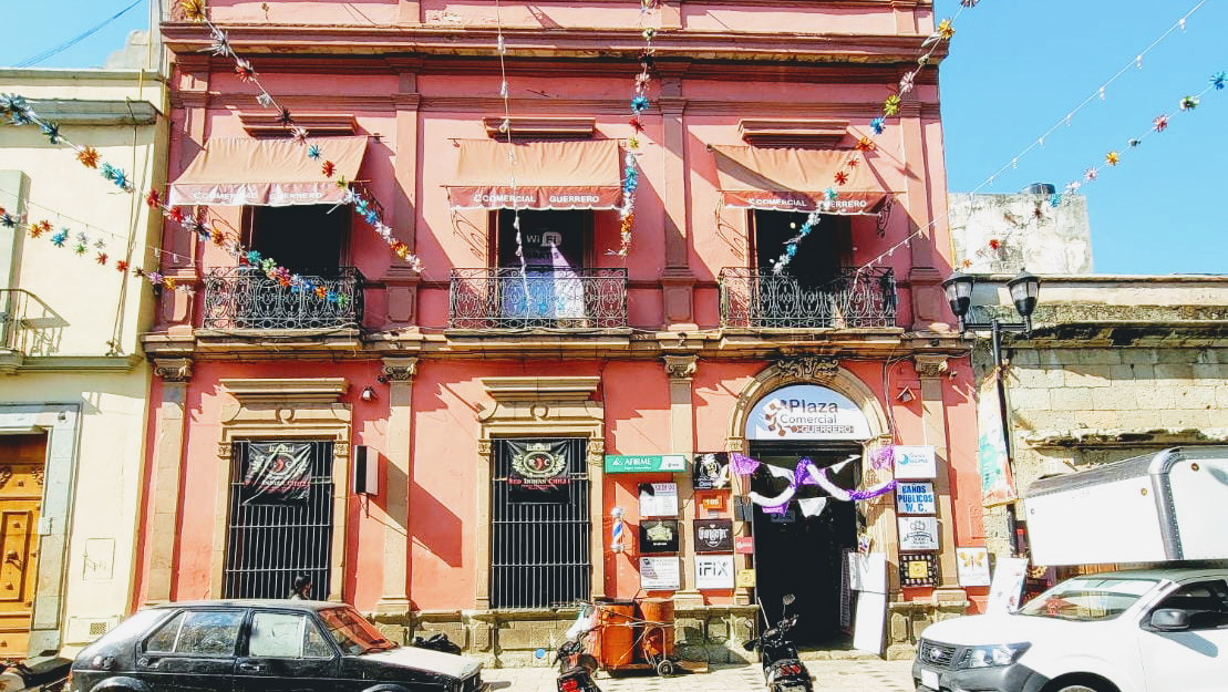 Red Indian Chilli image 3