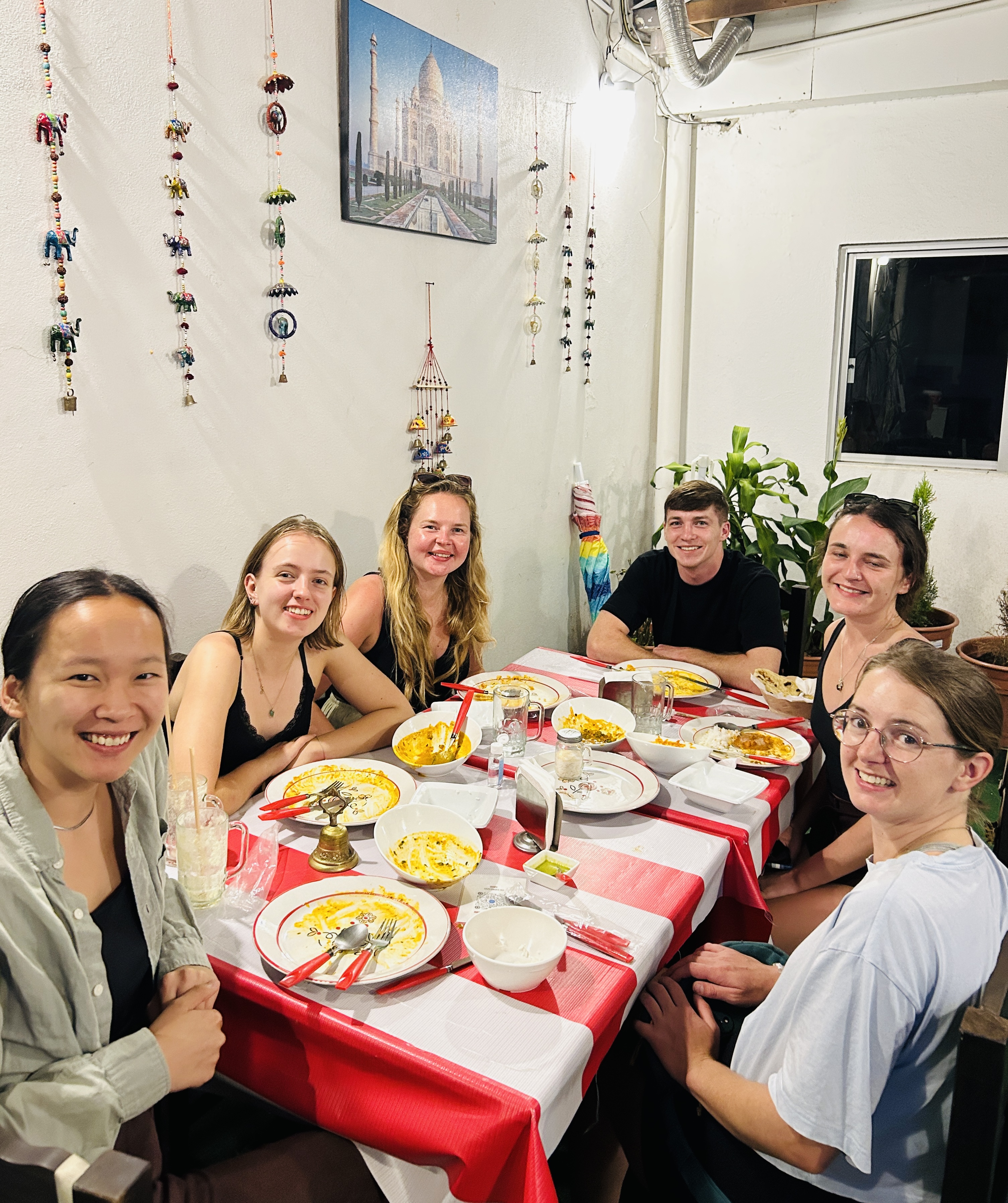 Red Indian Chilli image 6