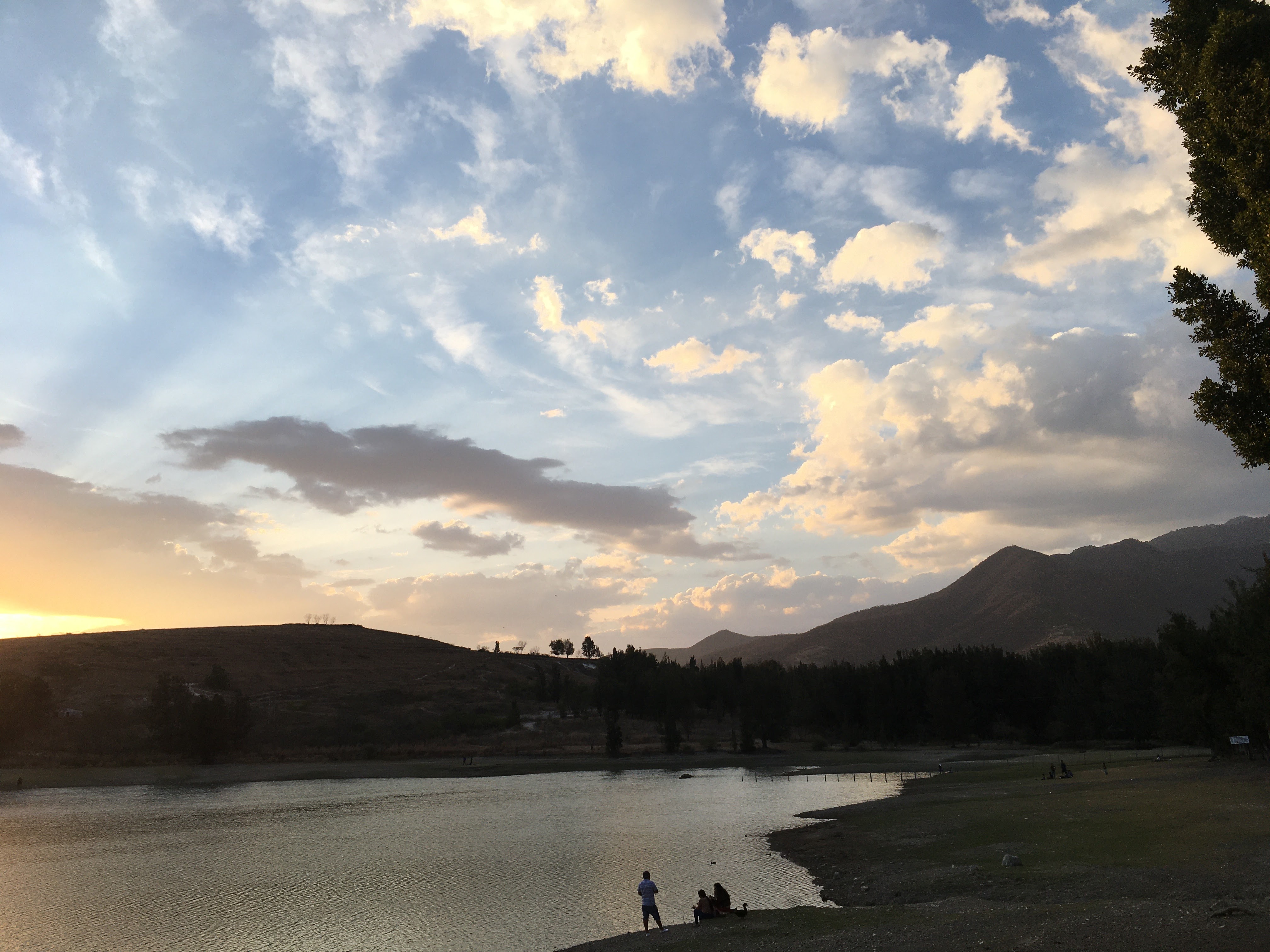 Restaurante Los Charalitos image 5