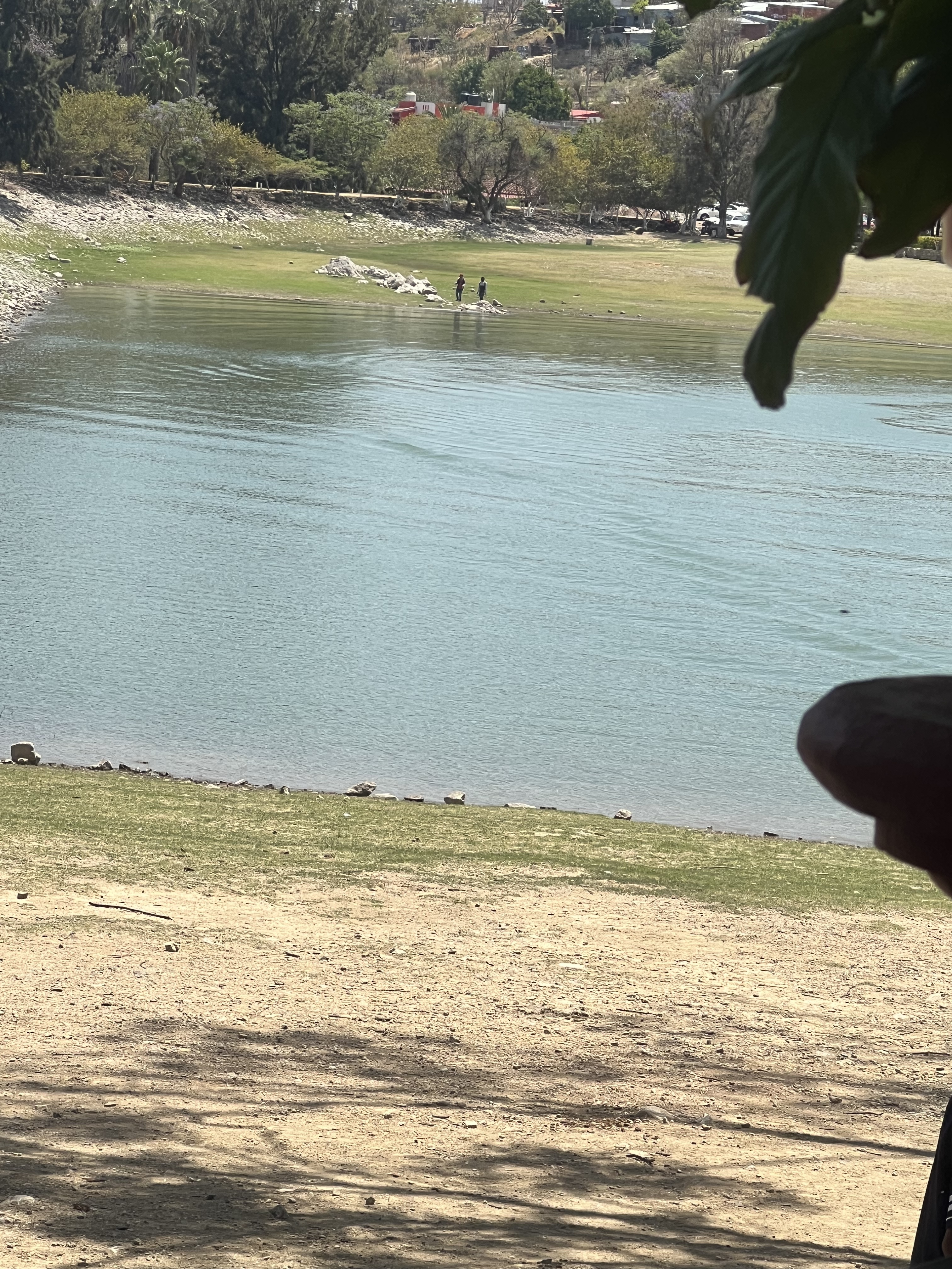 Restaurante Los Charalitos image 6