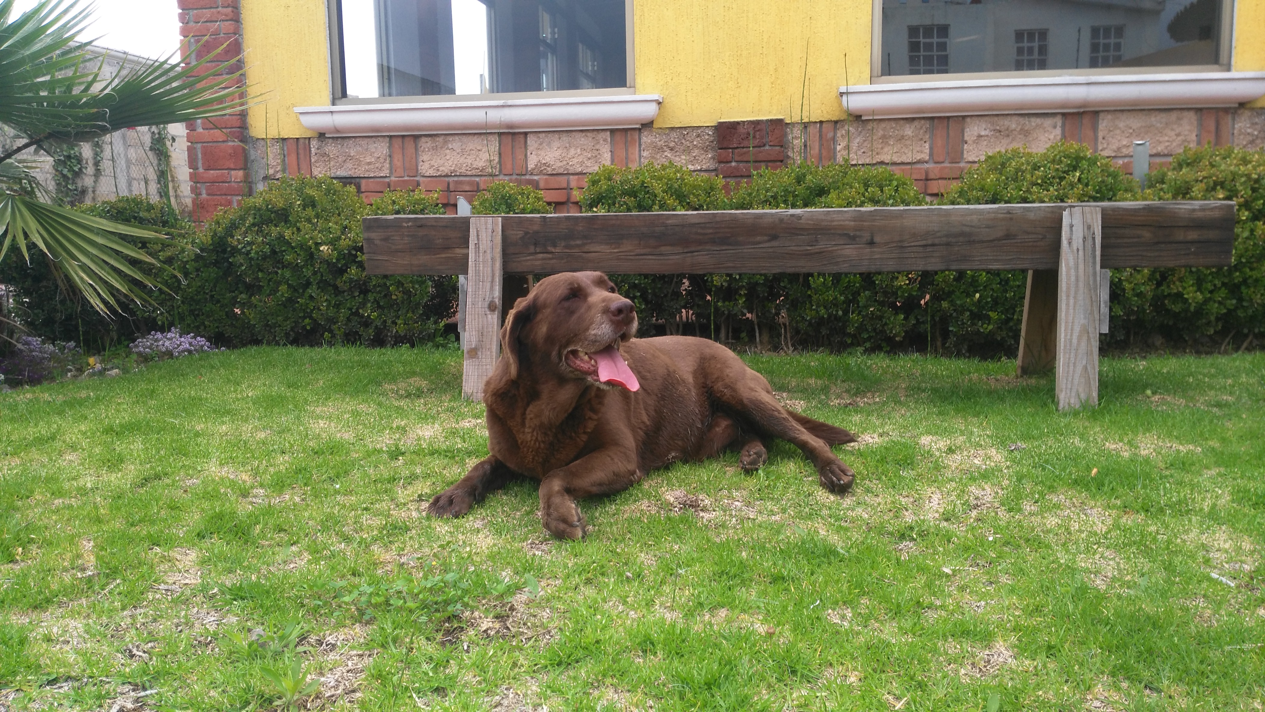 La Finca Eventos Sociales image 7