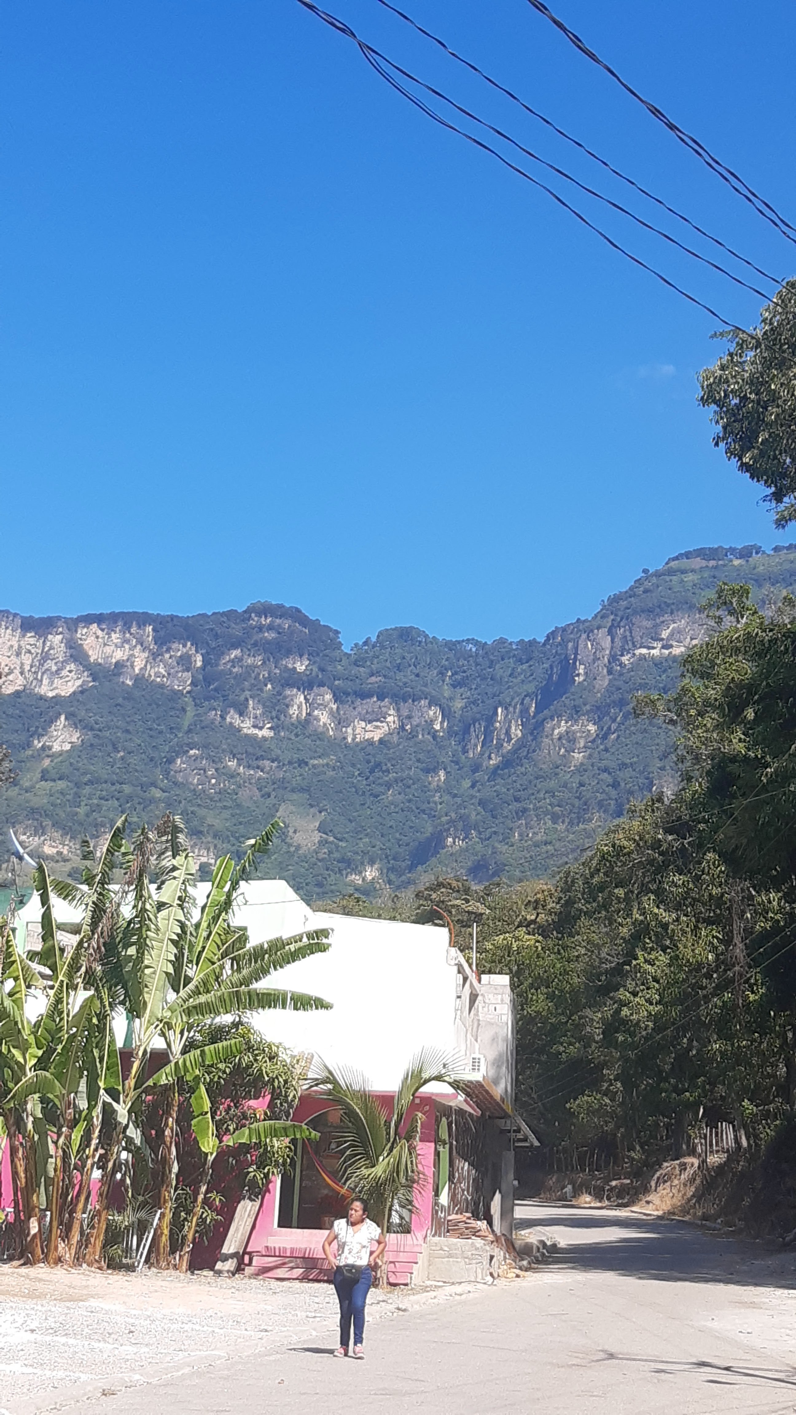 Cocteleria Y Marisqueria El Cangrejito image 6