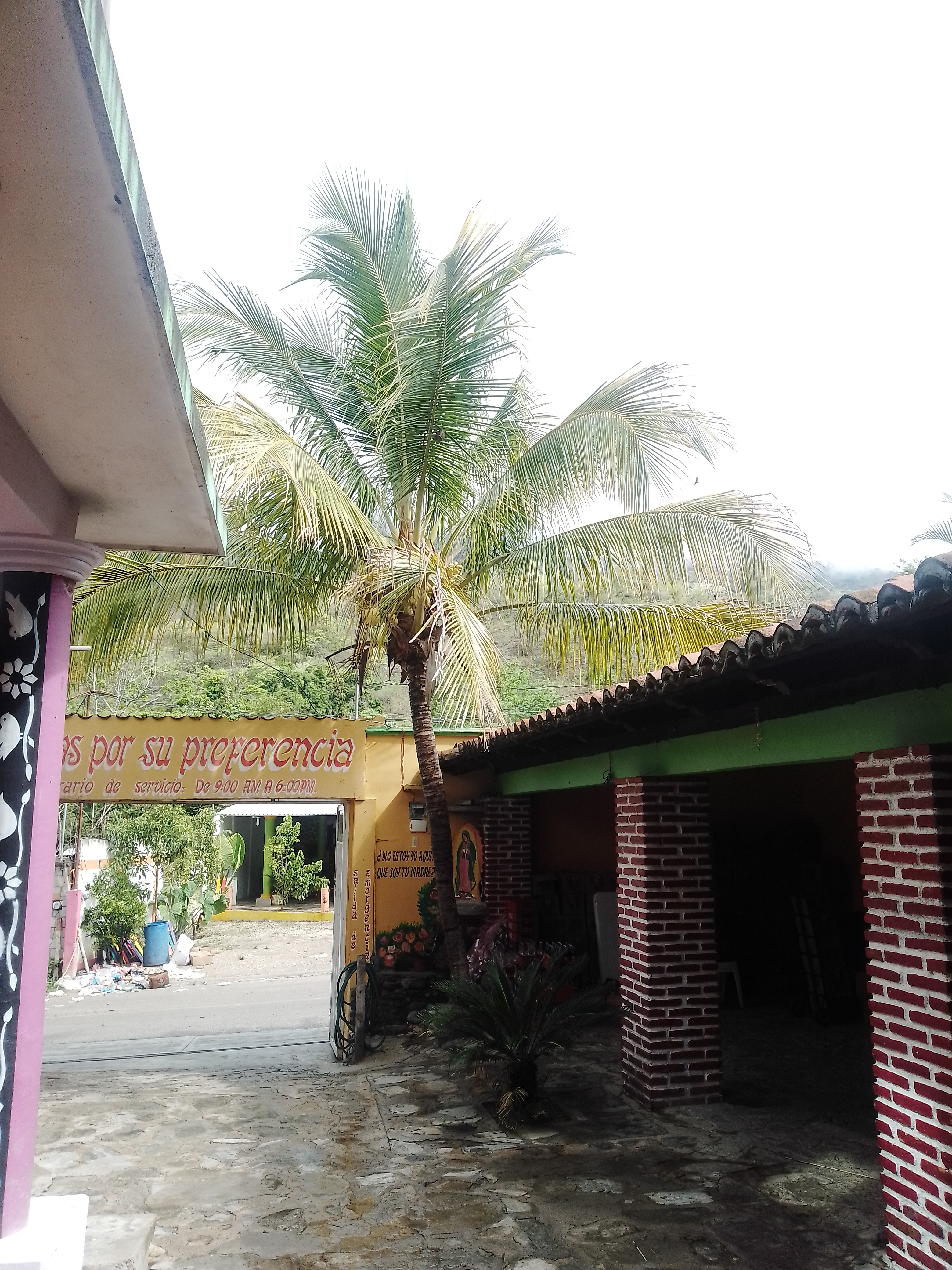 Cocteleria Y Marisqueria El Cangrejito image 10