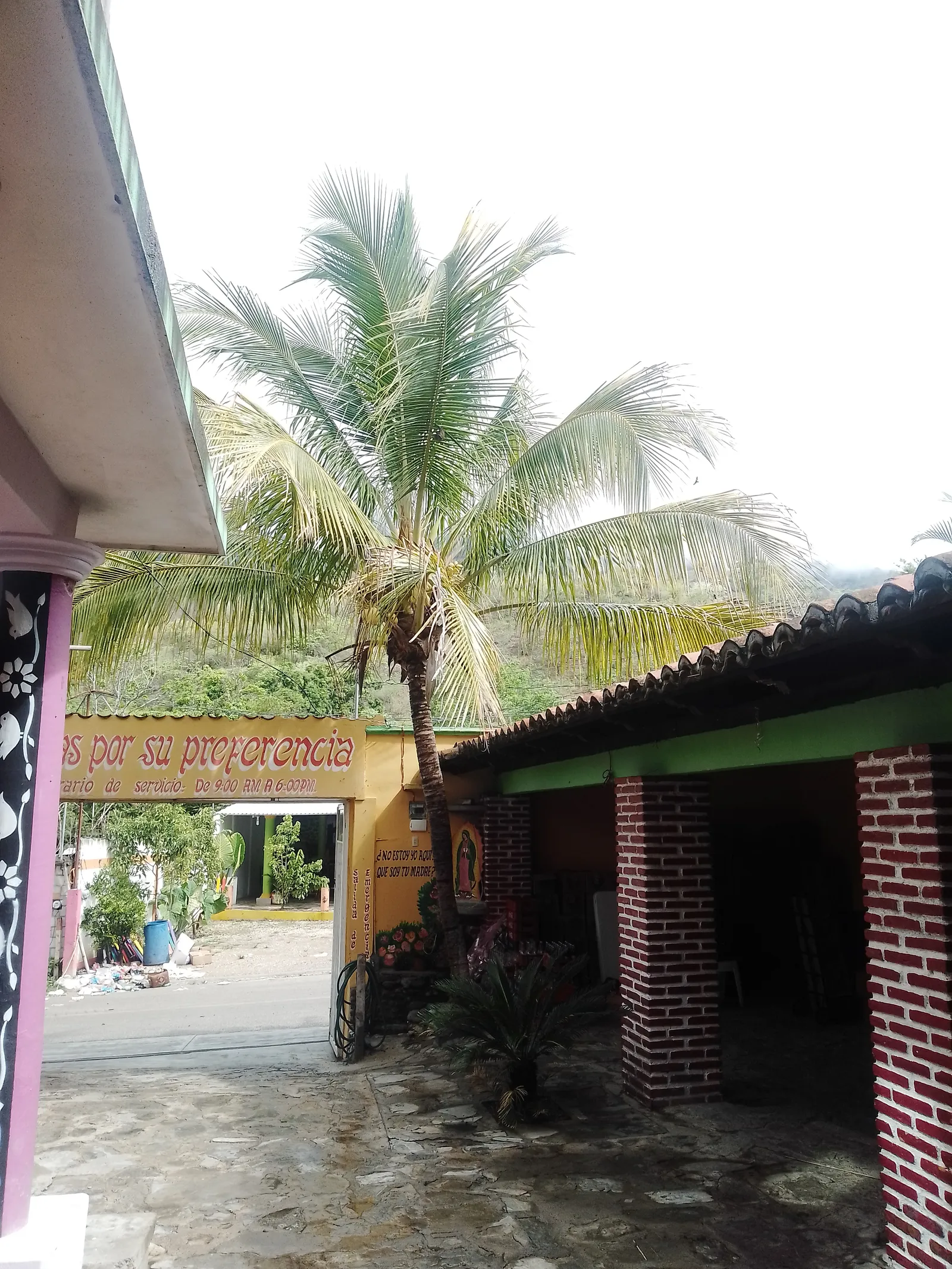 Cocteleria Y Marisqueria El Cangrejito image 10