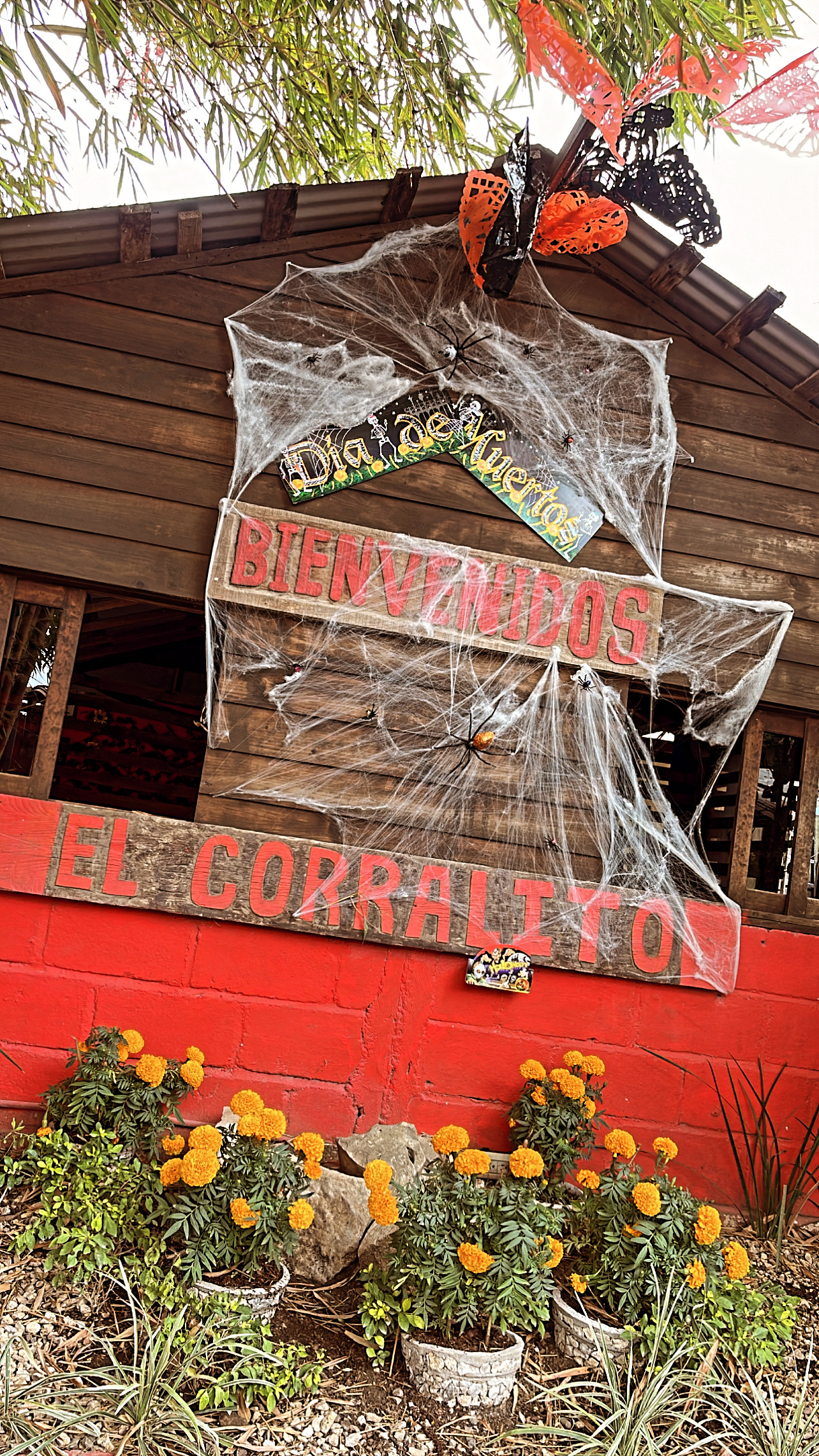 Restaurant Campestre "El Corralito" image 7