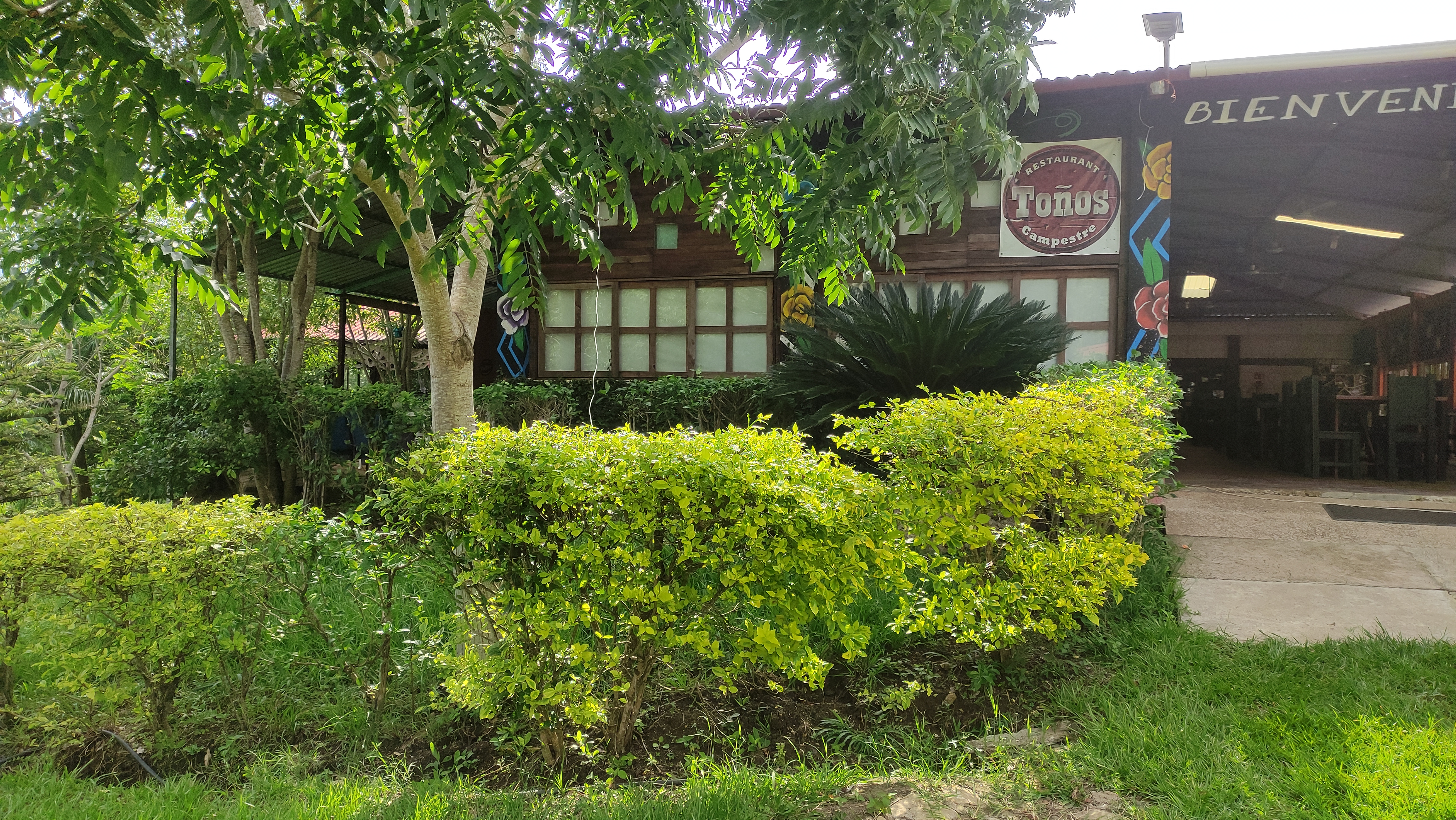 Restaurant Toños Campestre image 5