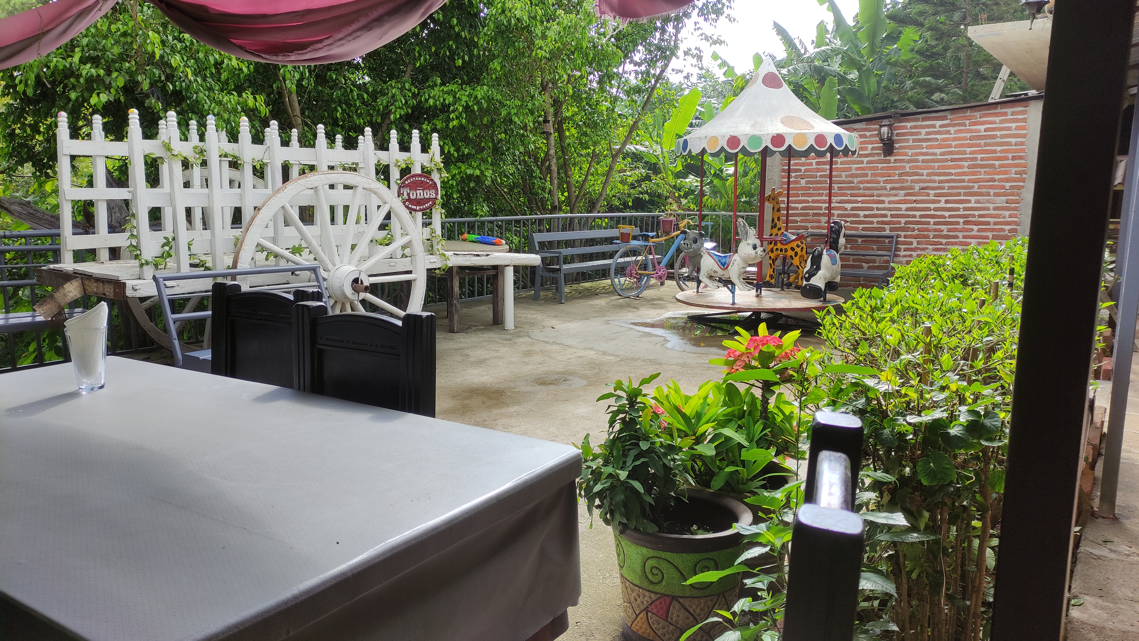 Restaurant Toños Campestre image 9