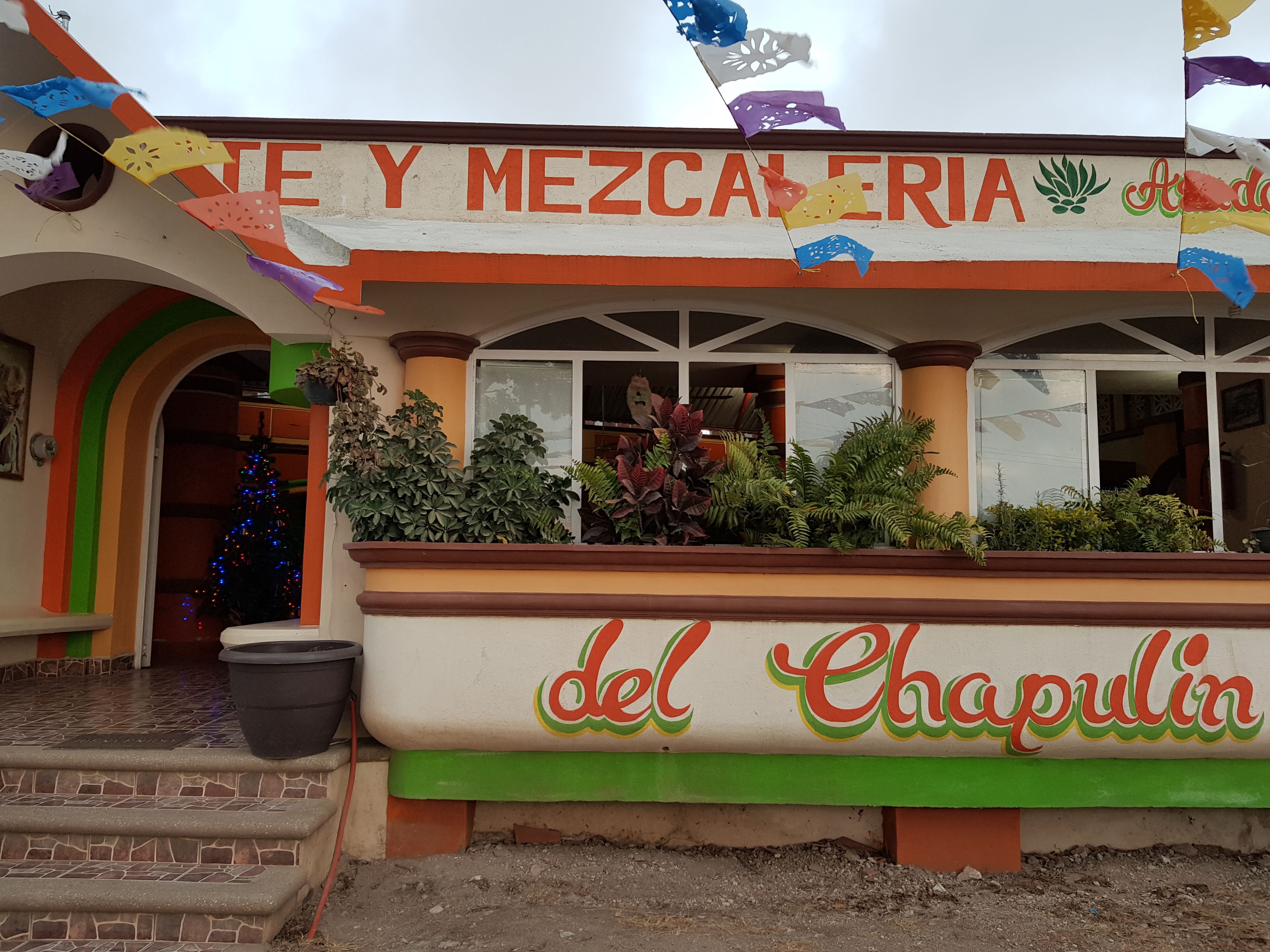 Asador El Chapulín Restaurante y Mezcalería image 1