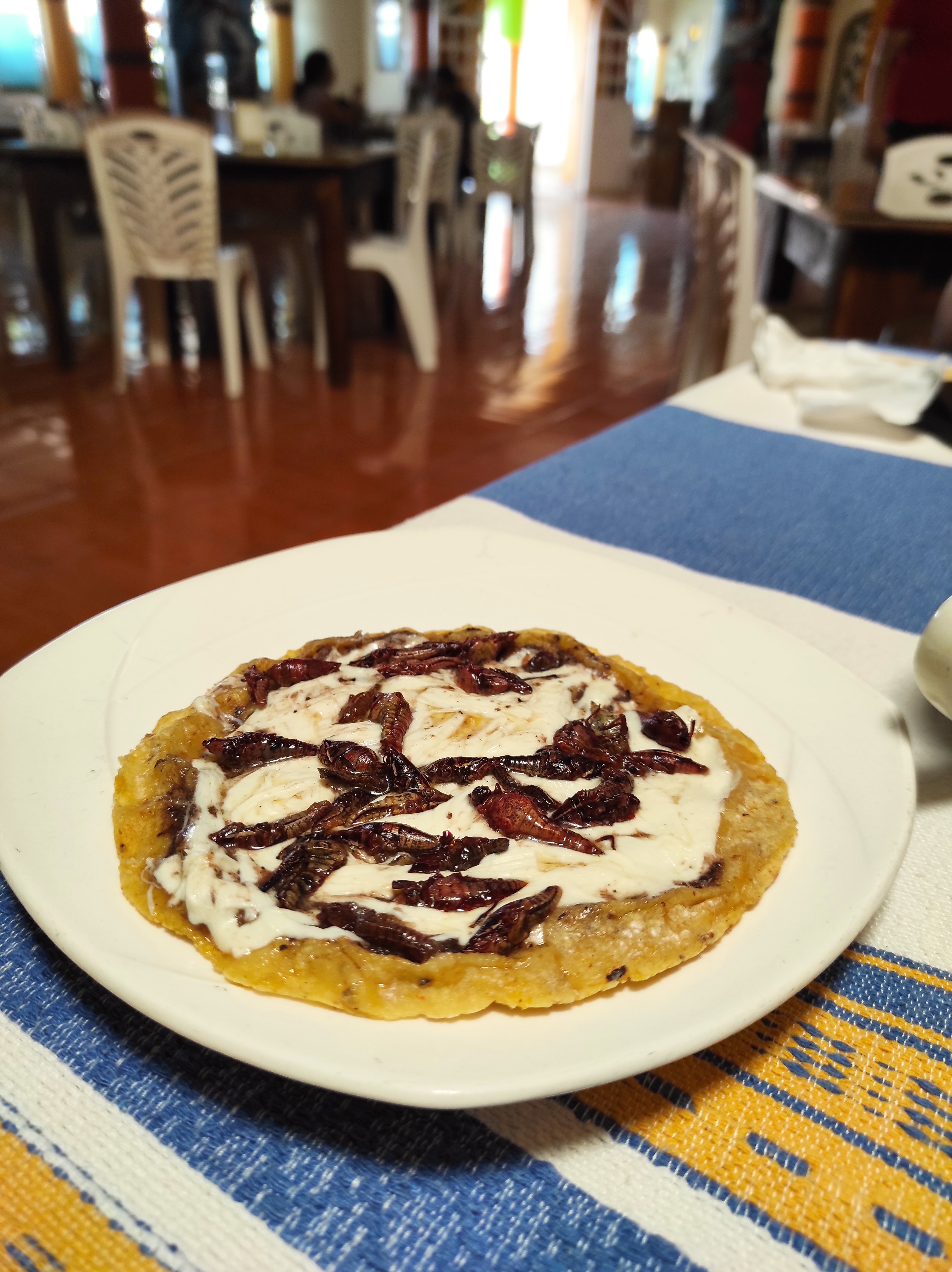 Asador El Chapulín Restaurante y Mezcalería image 4