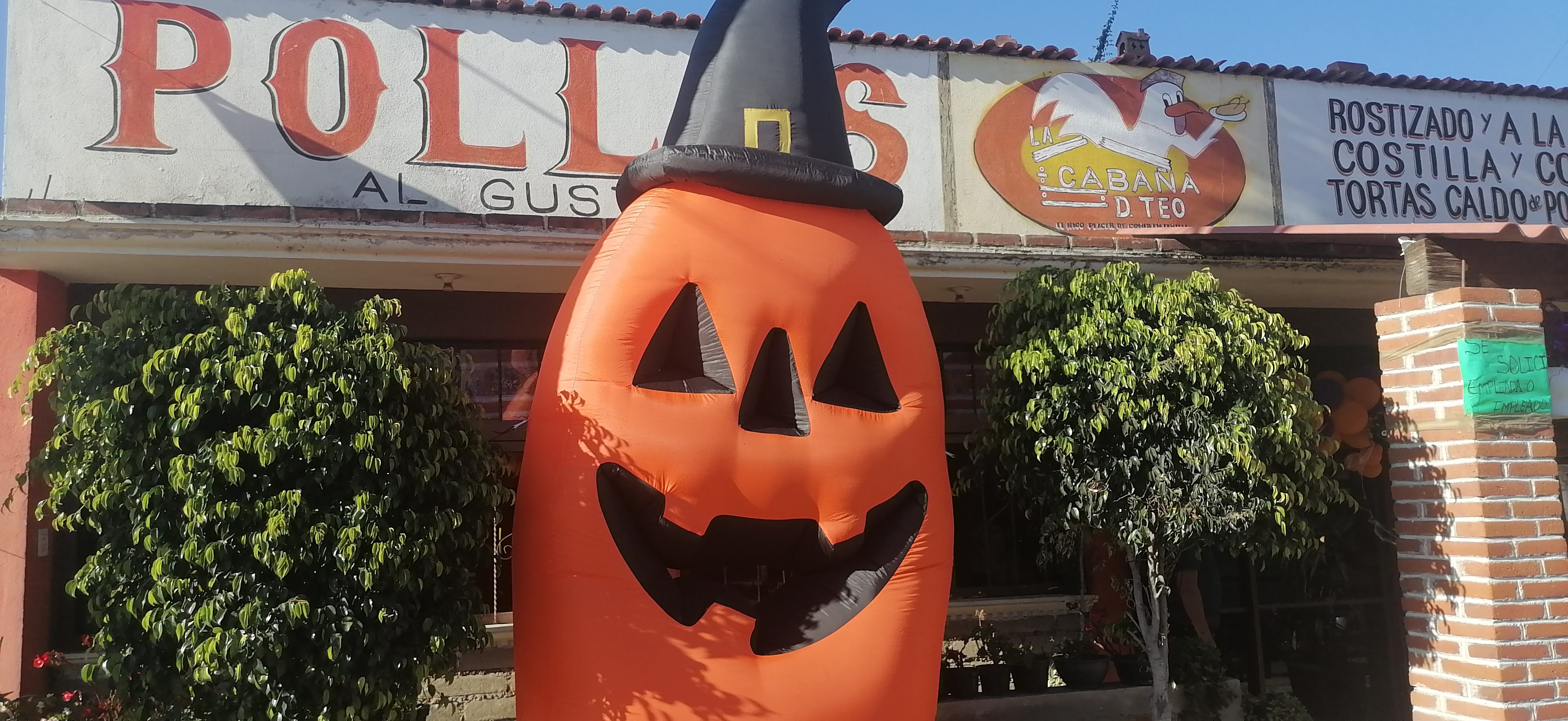 La Cabaña de Teo image 3