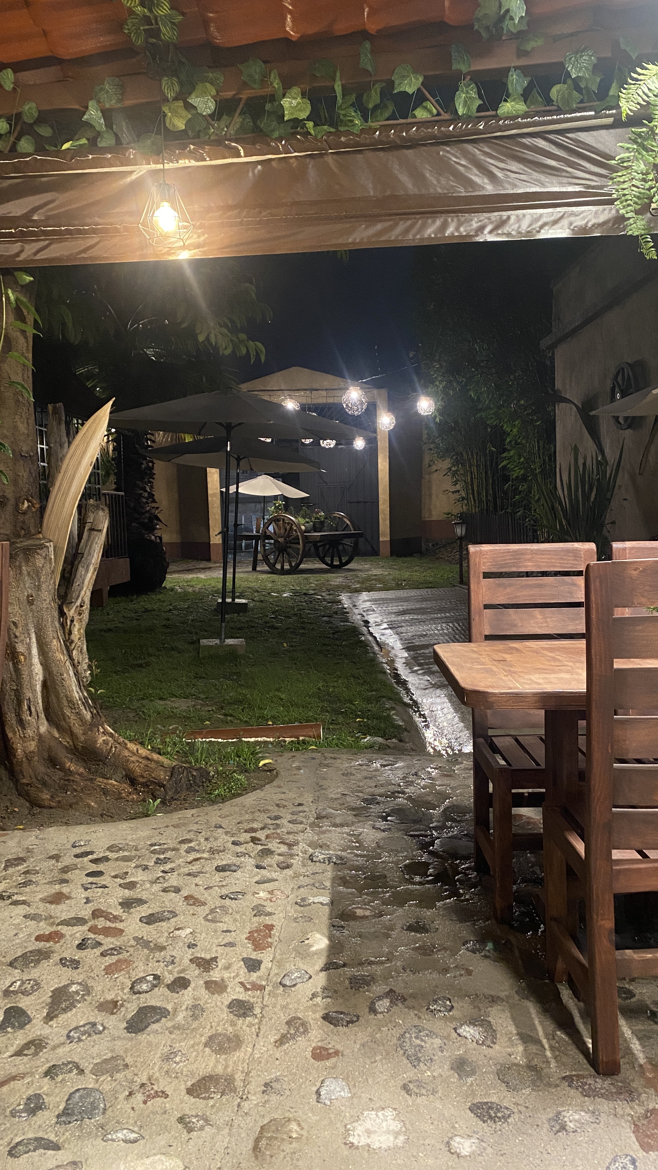 Finca Maria Bonita Restaurante & Bar image 10
