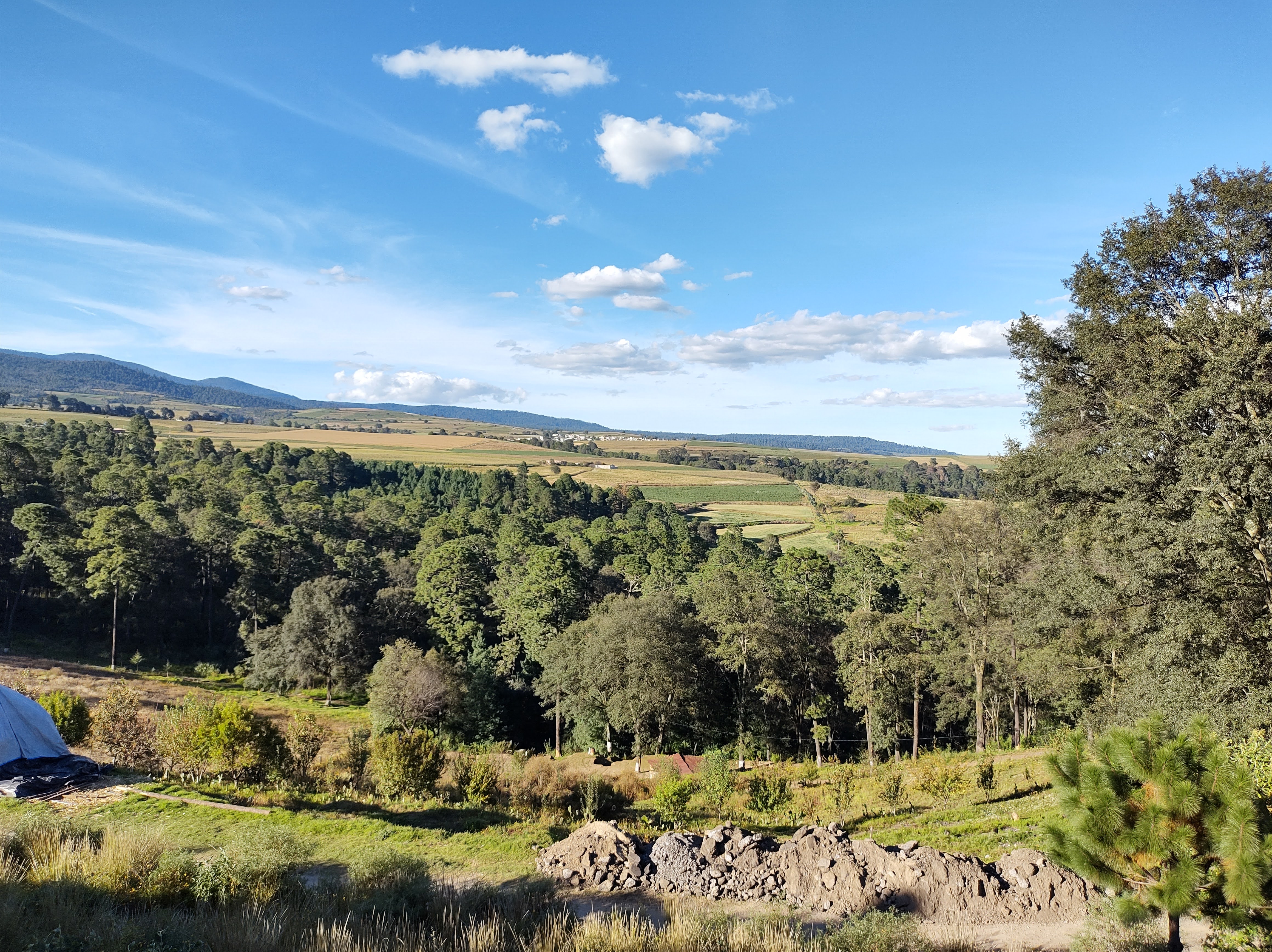 Restaurante Elvis image 3