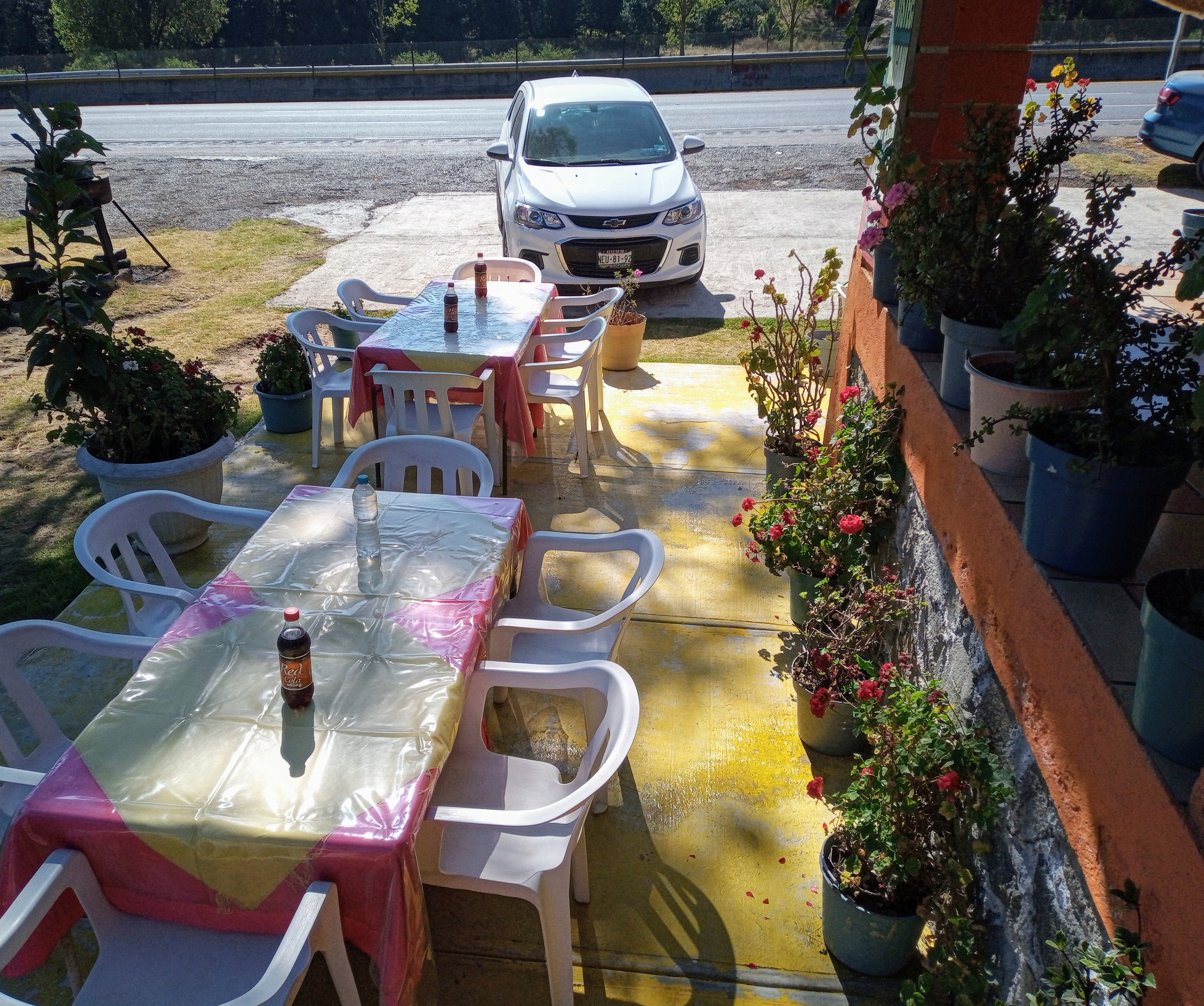 Restaurante Elvis image 5