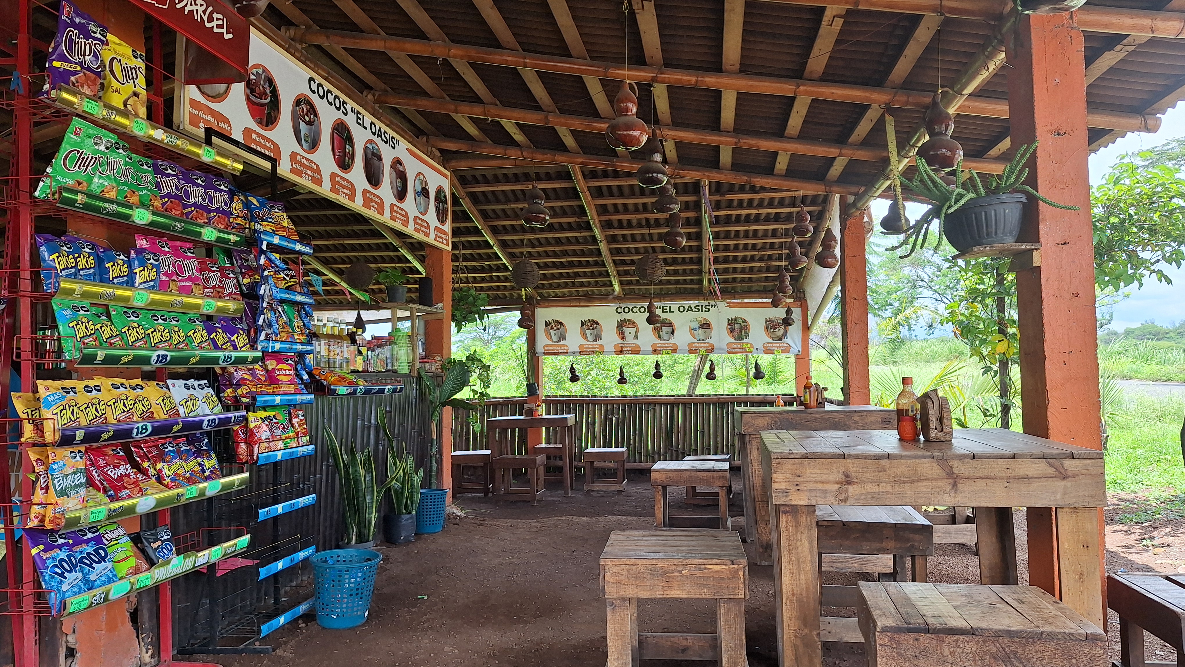 Cocos el oasis image 1