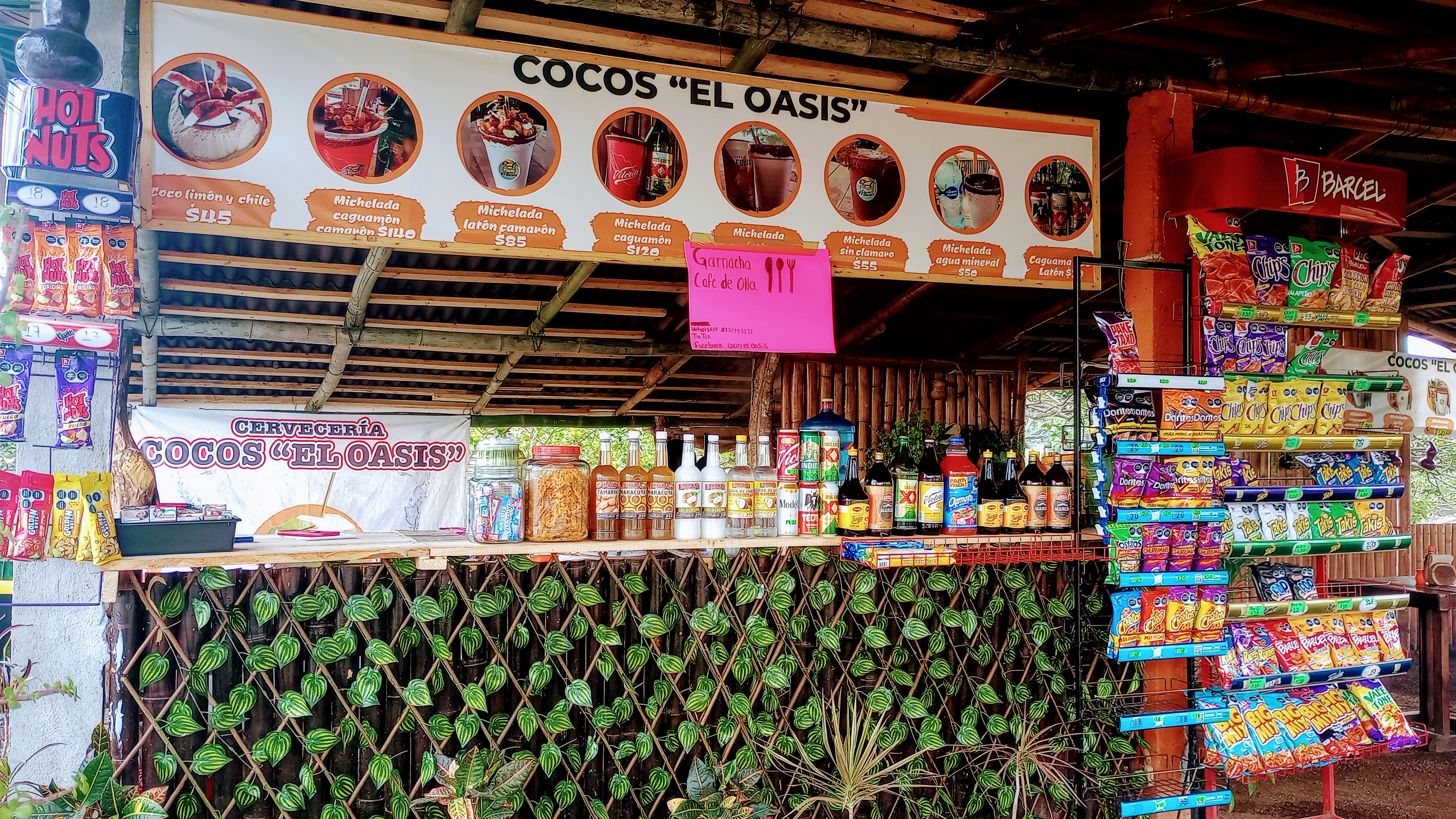 Cocos el oasis image 5