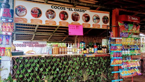 Cocos el oasis image 5