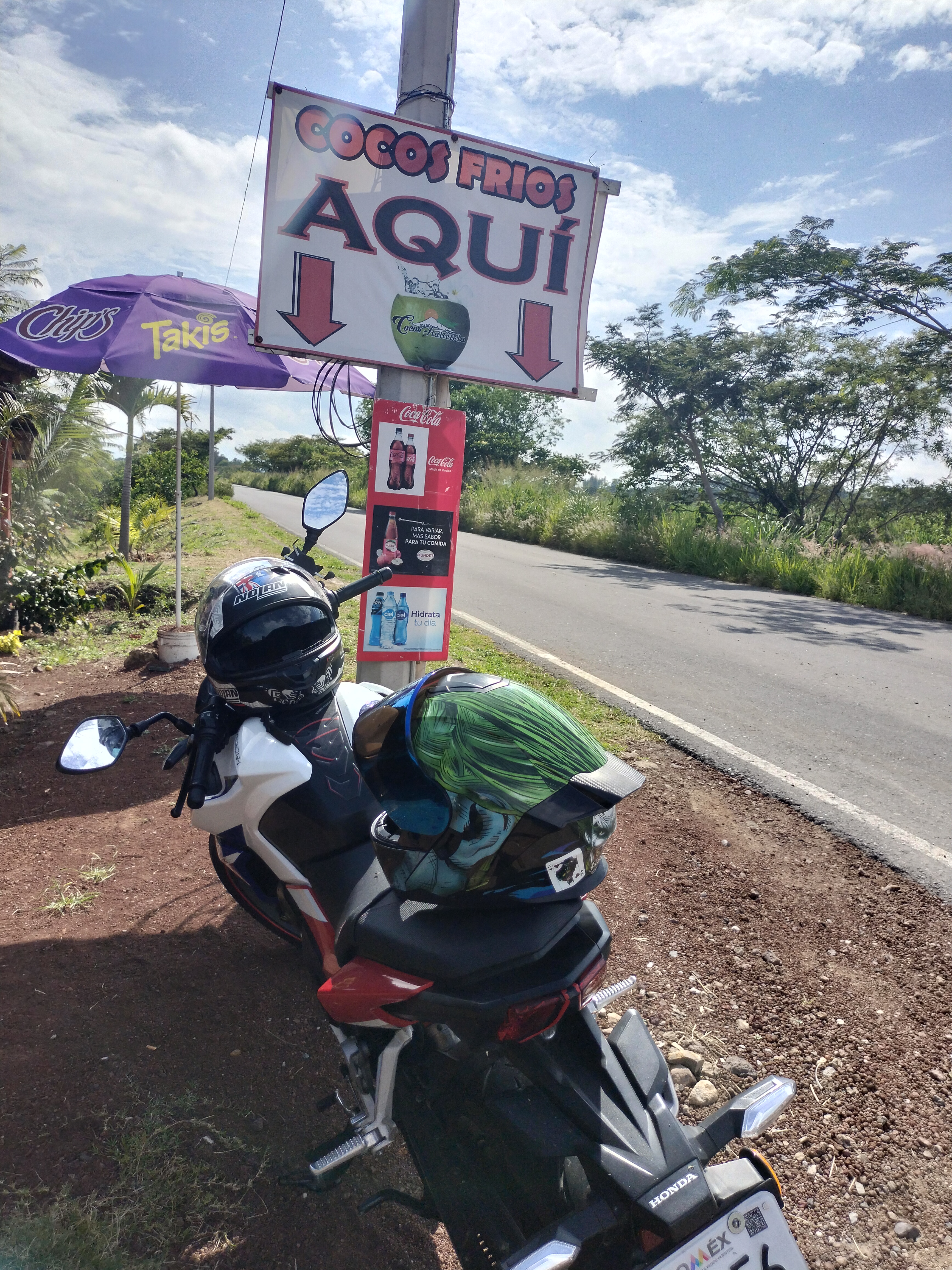 Cocos el oasis image 8