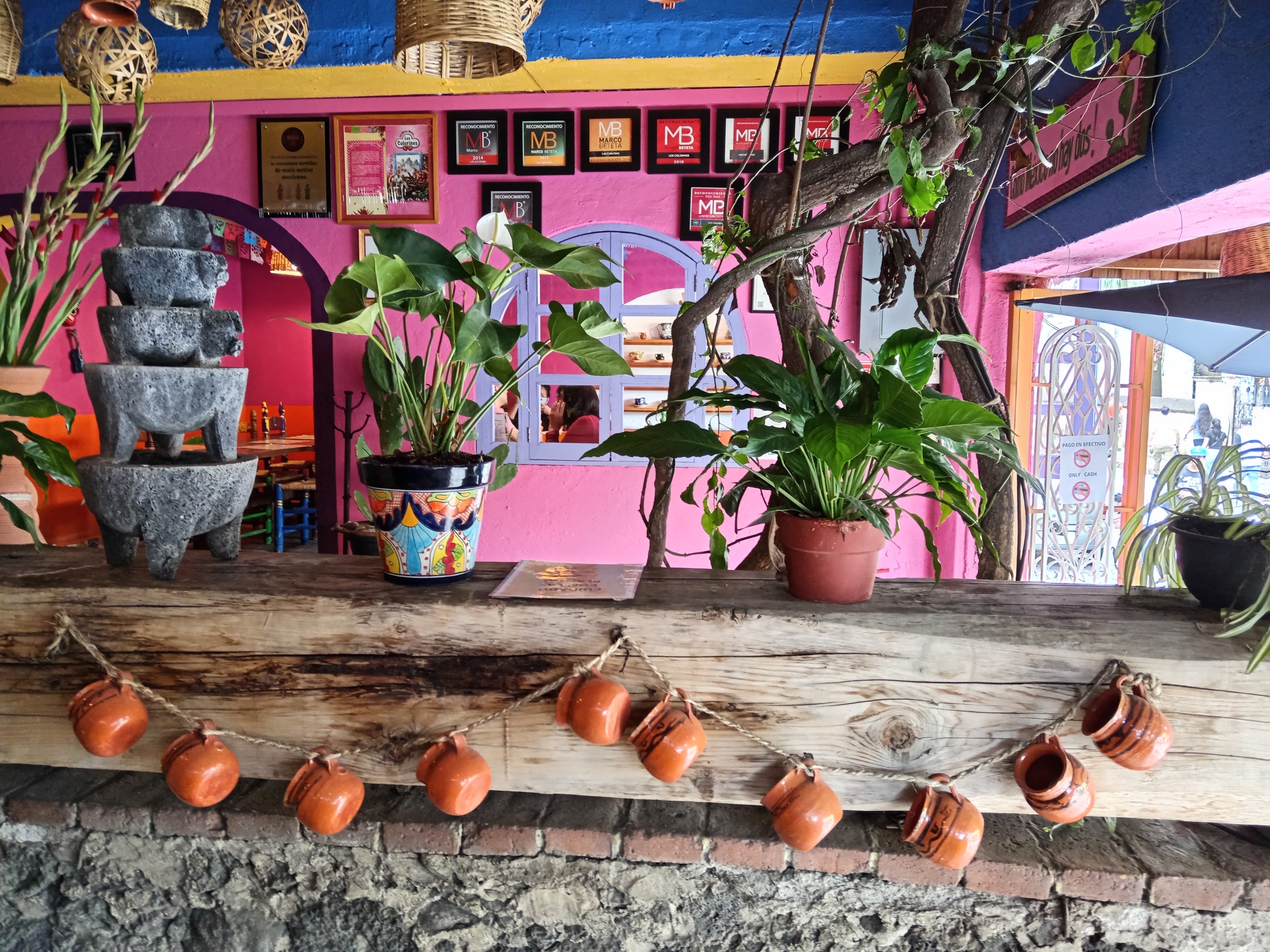 Los Colorines image 6