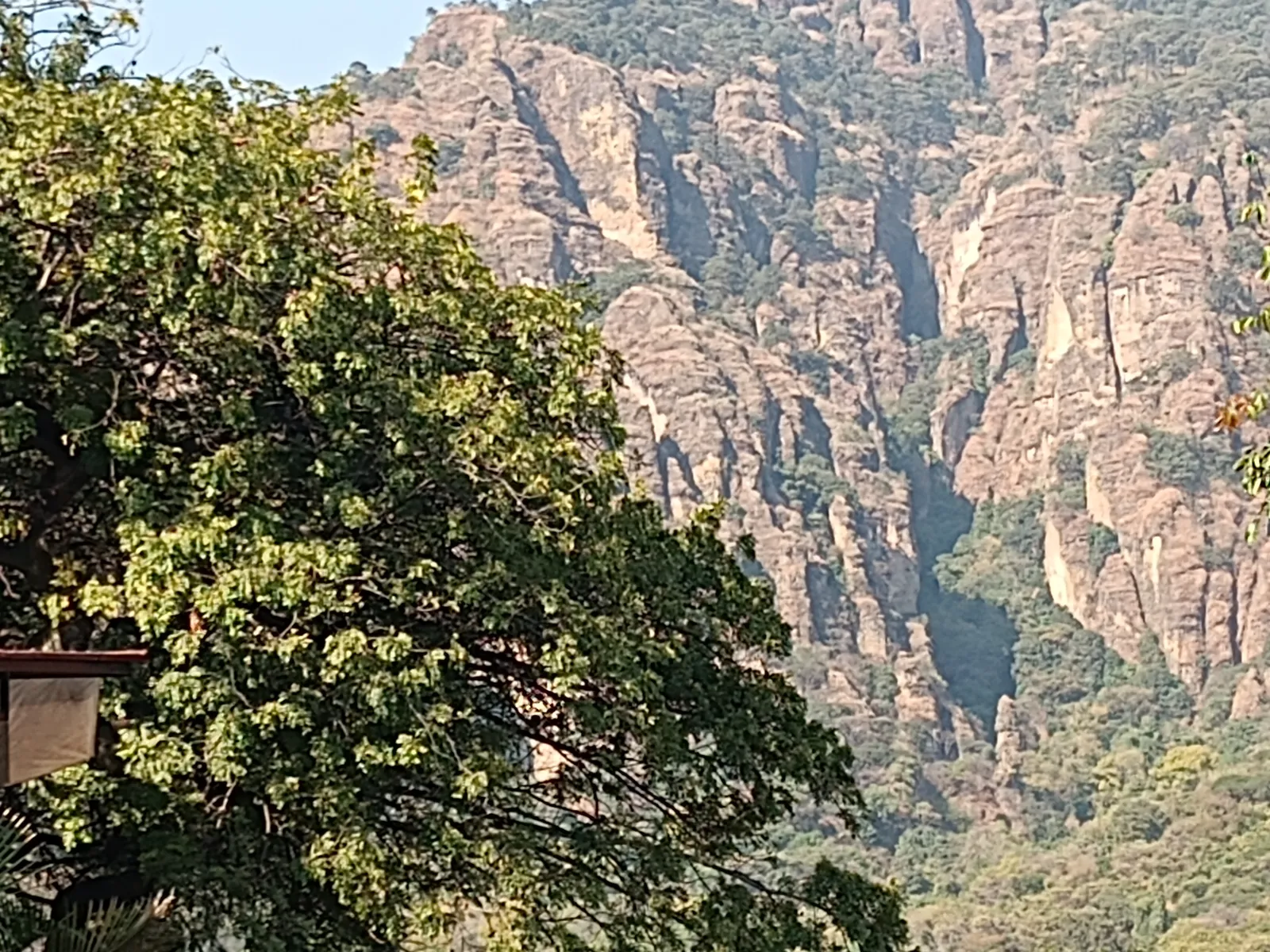 El Ciruelo image 10