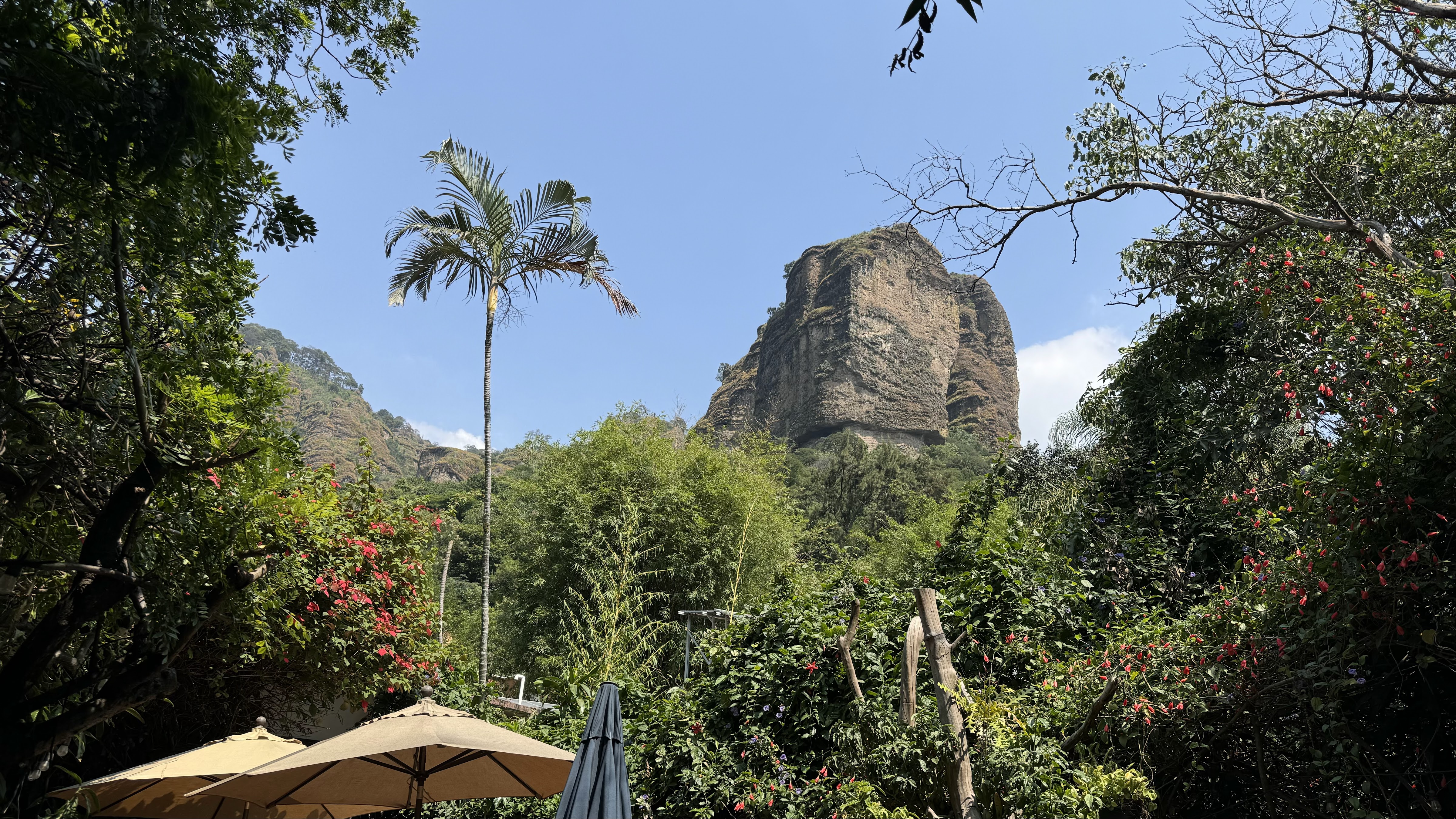 Restaurante Axitla image 8