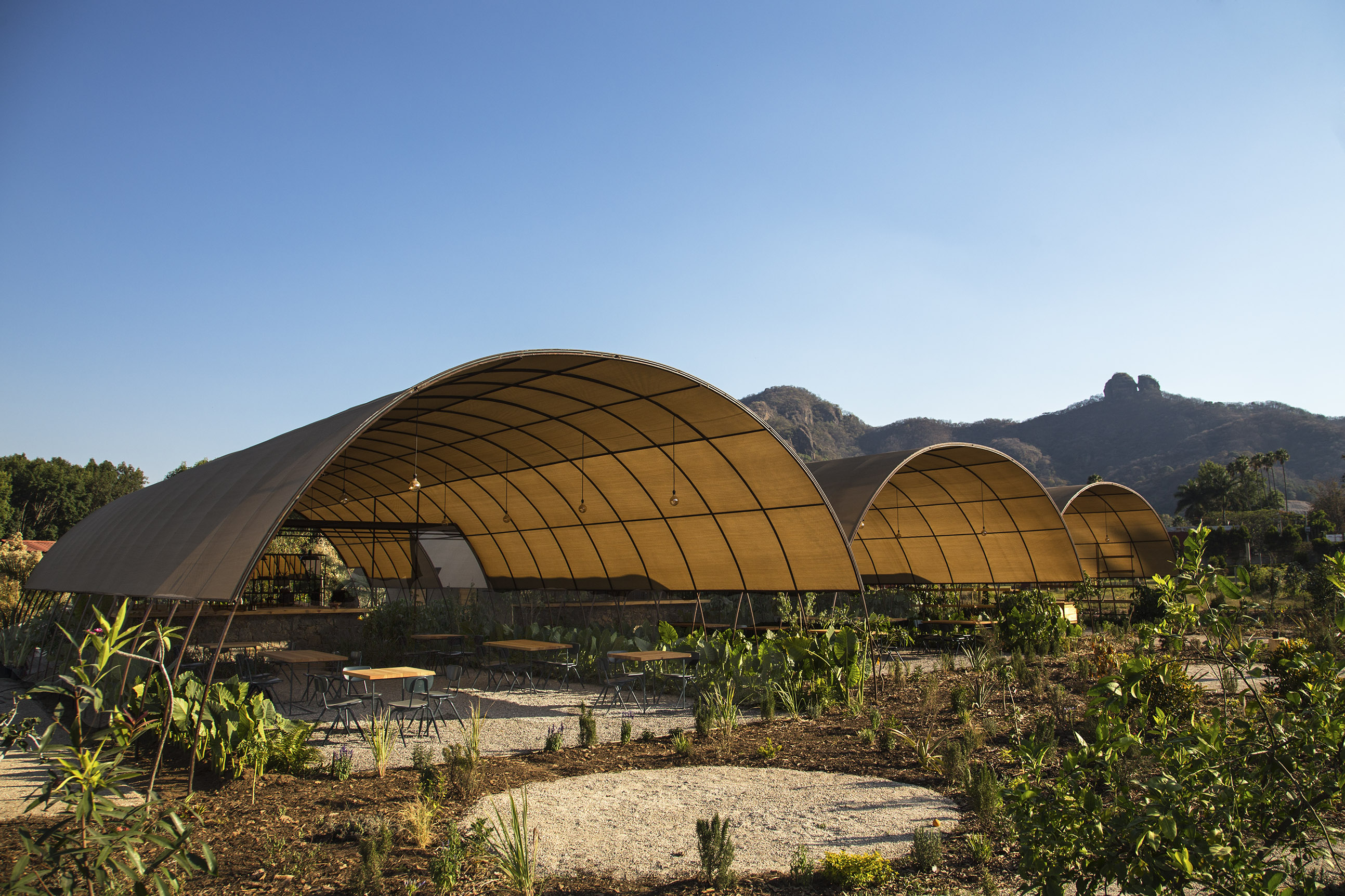 Parcela Restaurante image 3