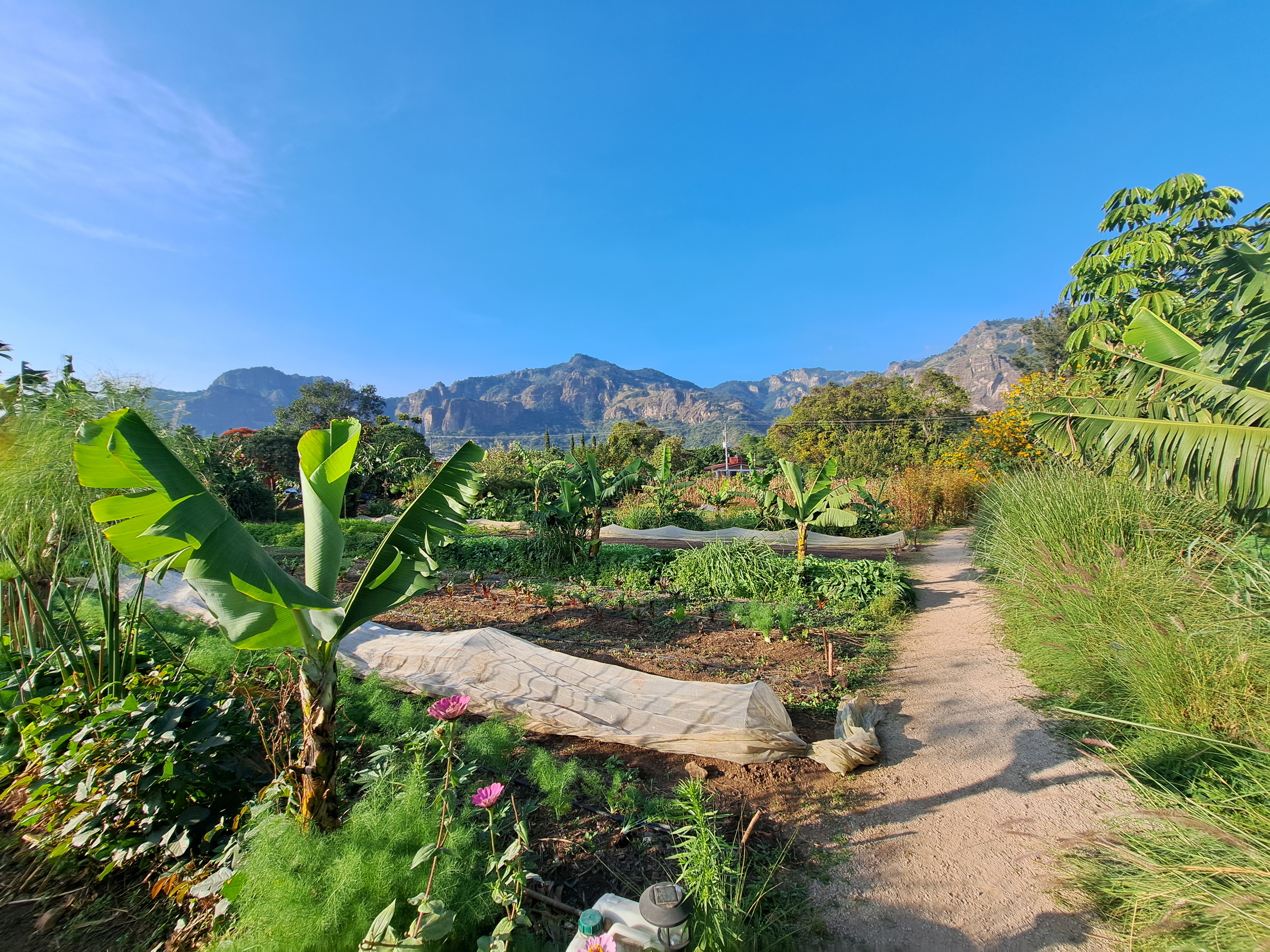 Parcela Restaurante image 7