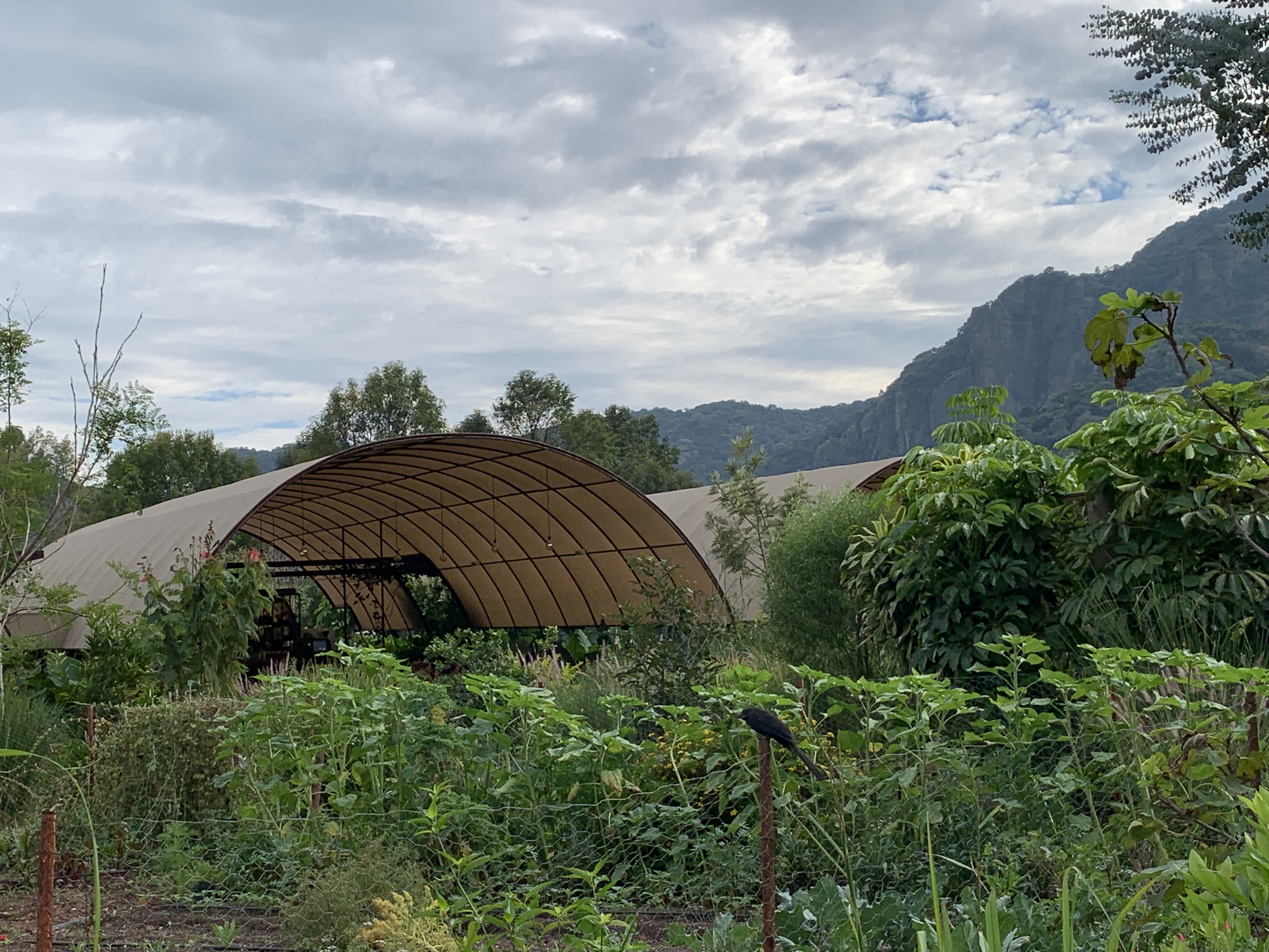 Parcela Restaurante image 9