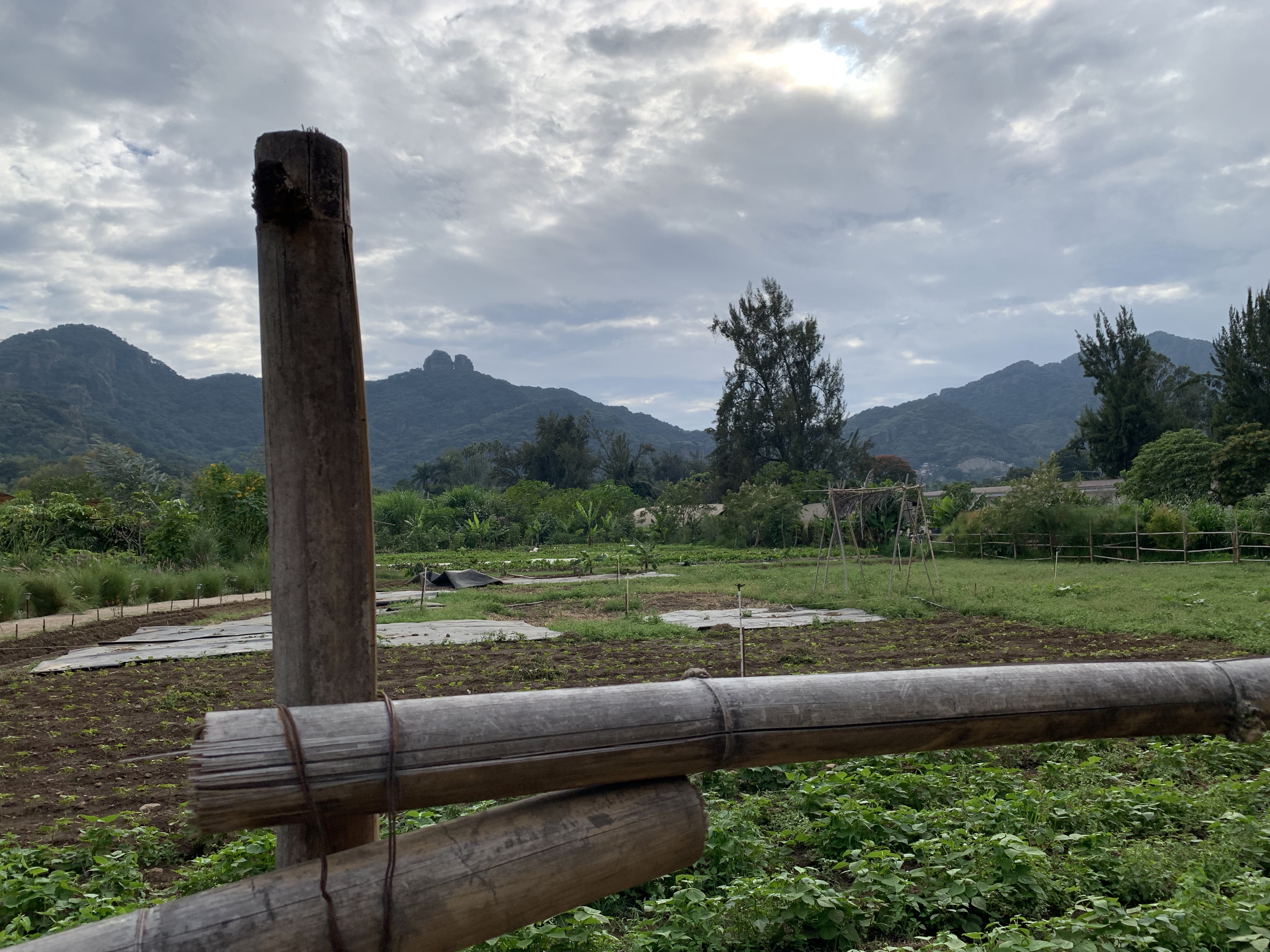 Parcela Restaurante image 10