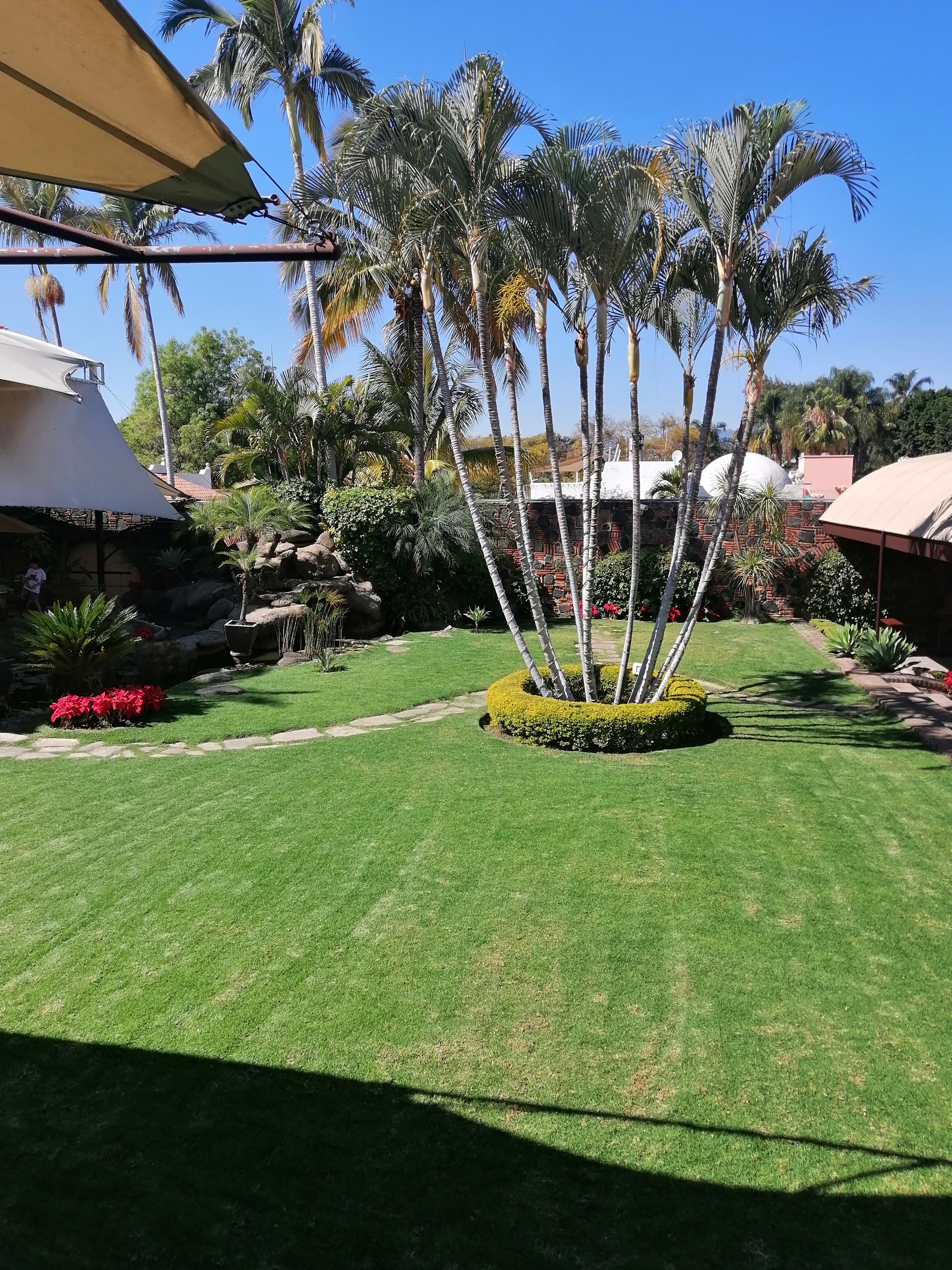 Restaurante El Secreto image 6