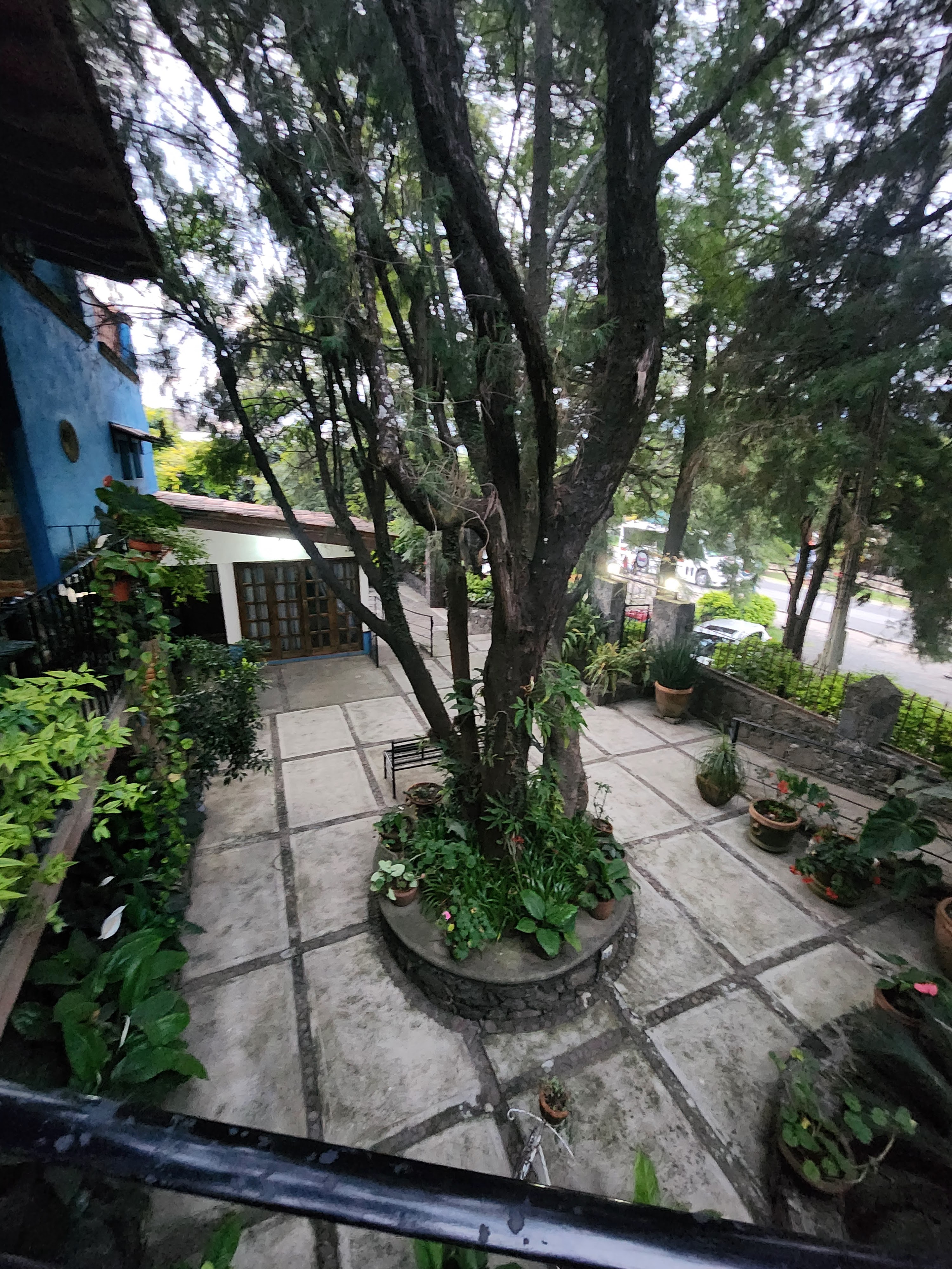 La Sandía Azul image 8