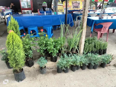 Antojitos "La Lomita" image 6