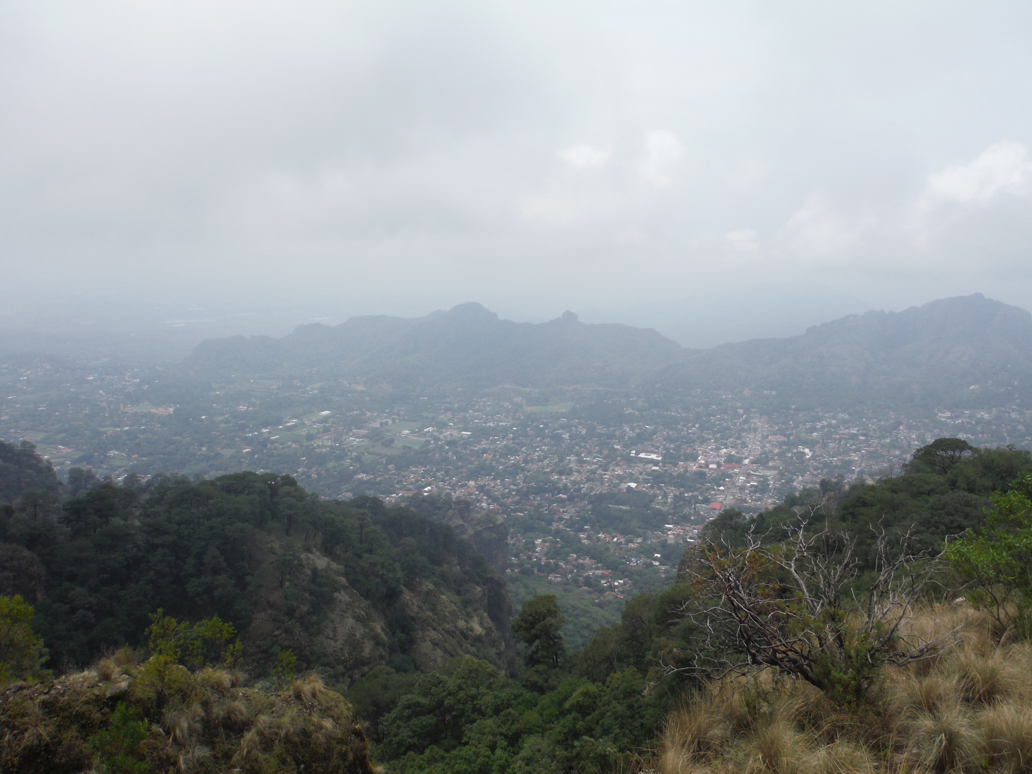 Restaurante El Estragón image 3