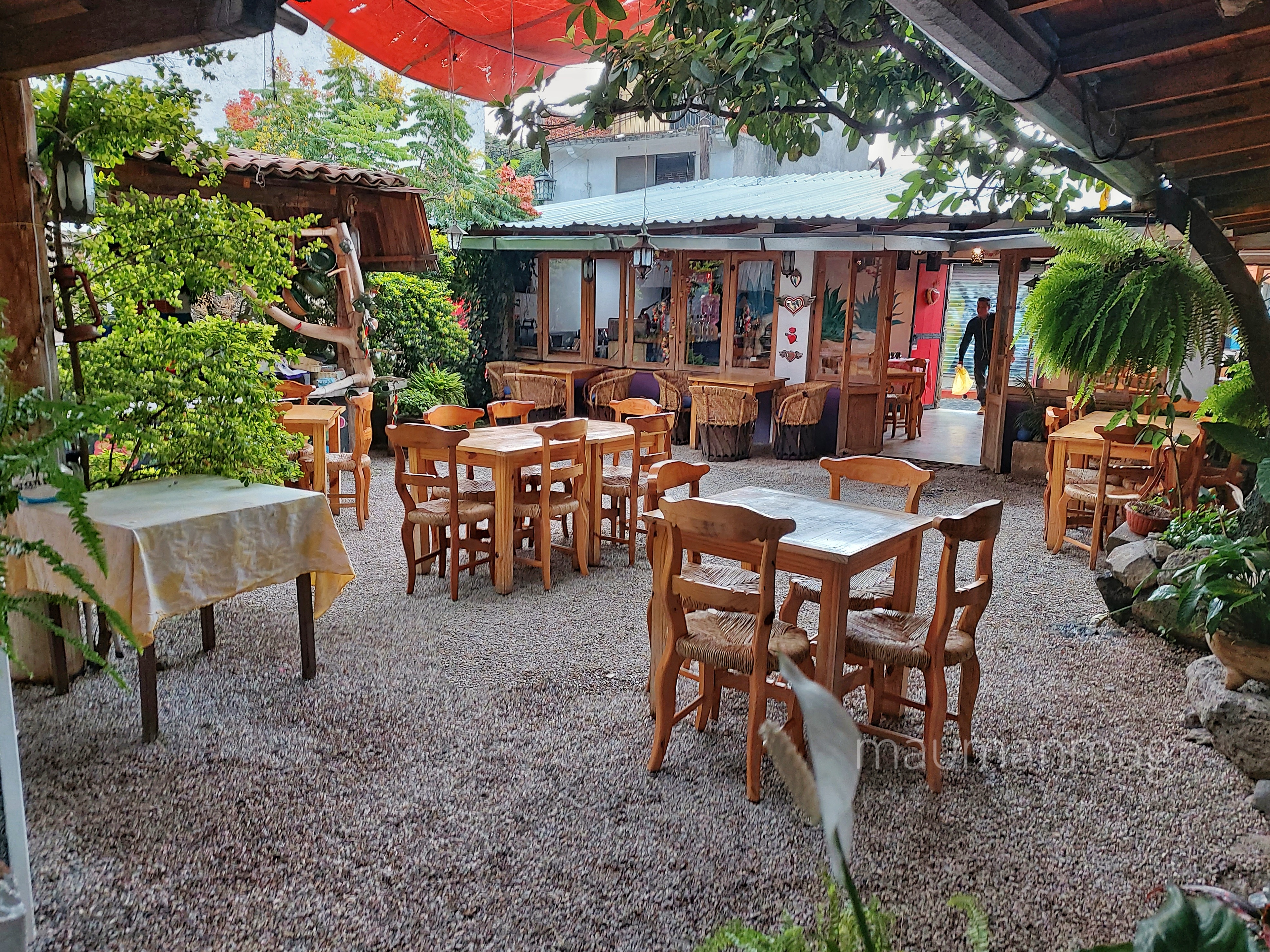 El Corazón De Mexico image 1