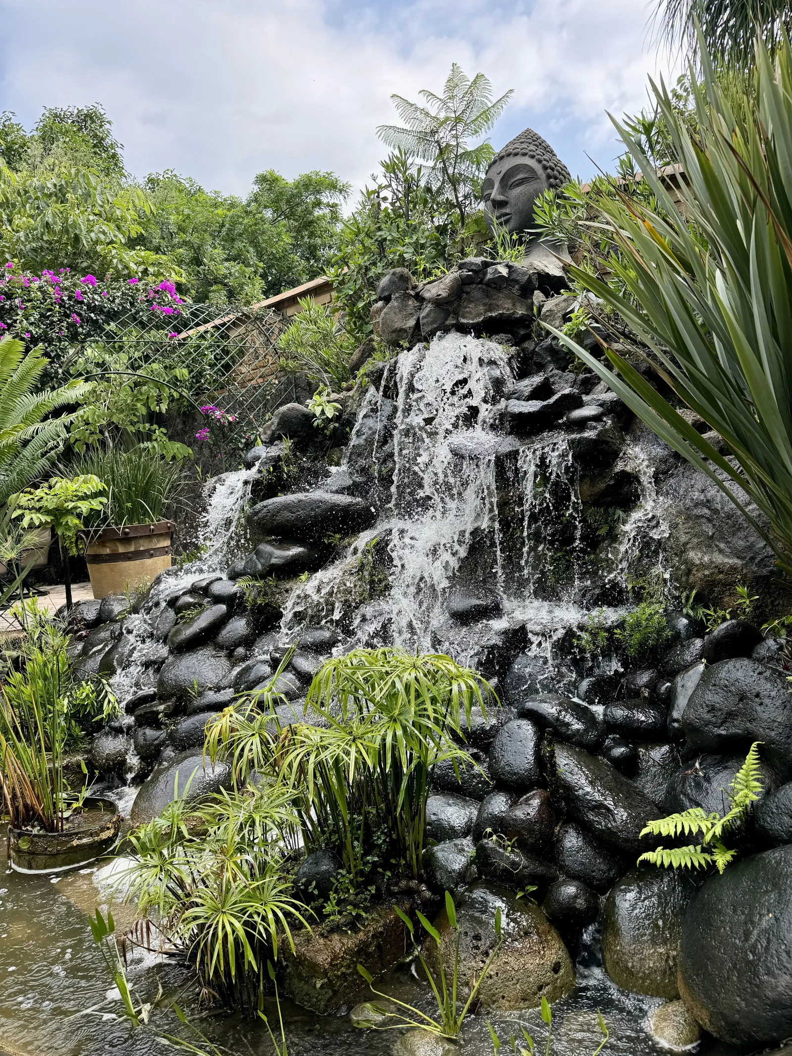 La Cascada image 6