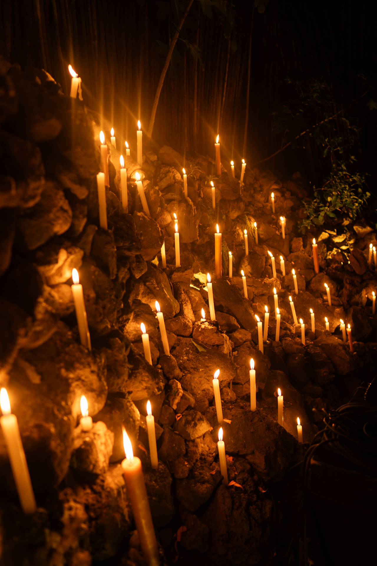 Las Calaquitas Restaurante Mezcalería image 8