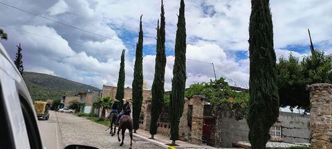 Birriería Tepezalá image 6