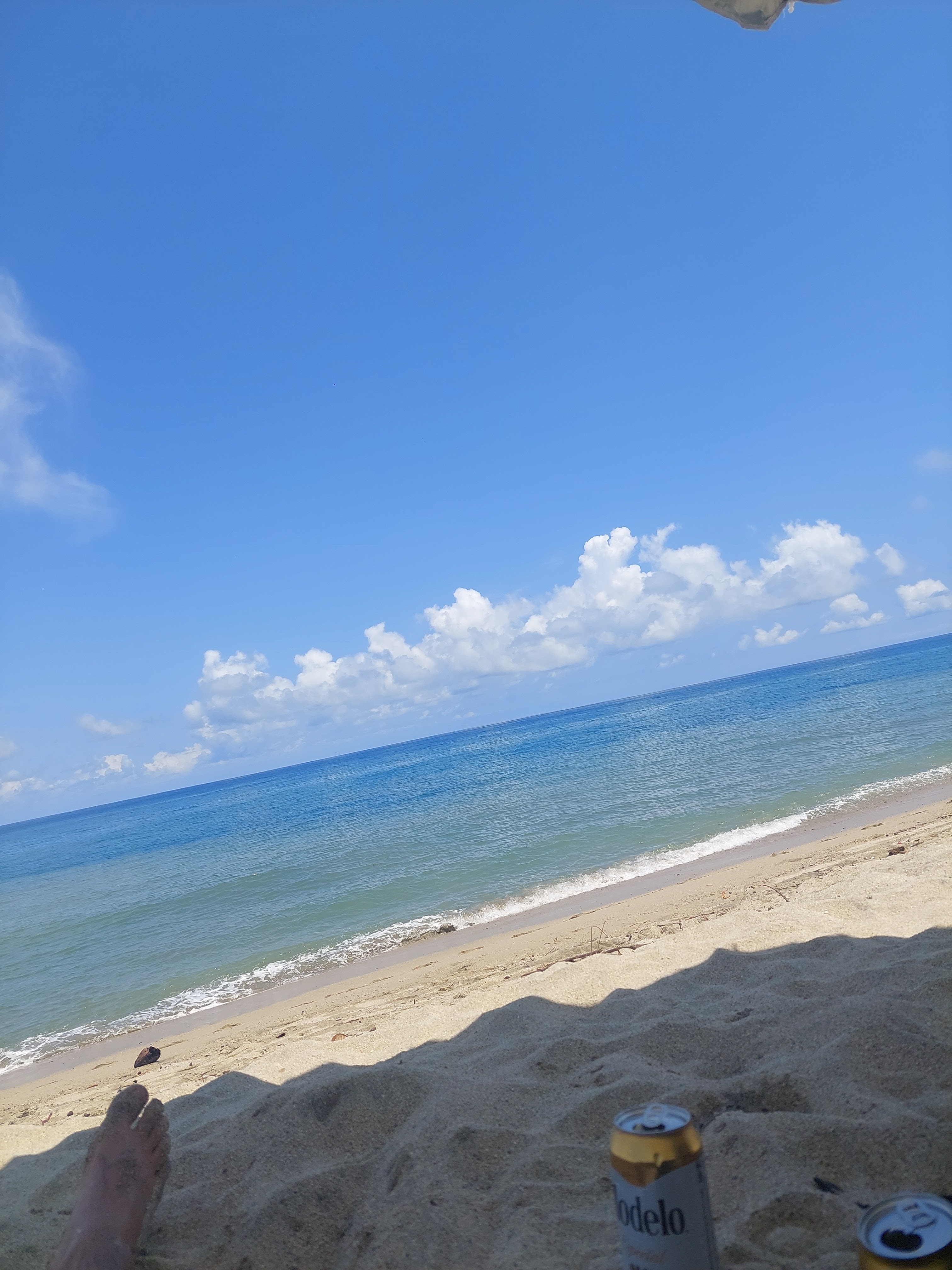 La Noria Mariscos image 5