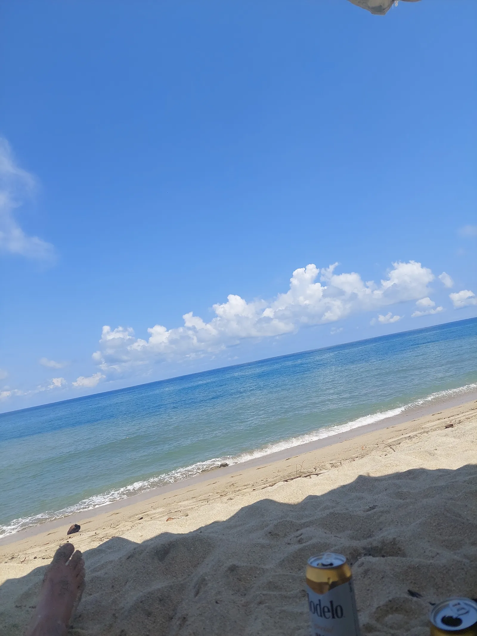 La Noria Mariscos image 5