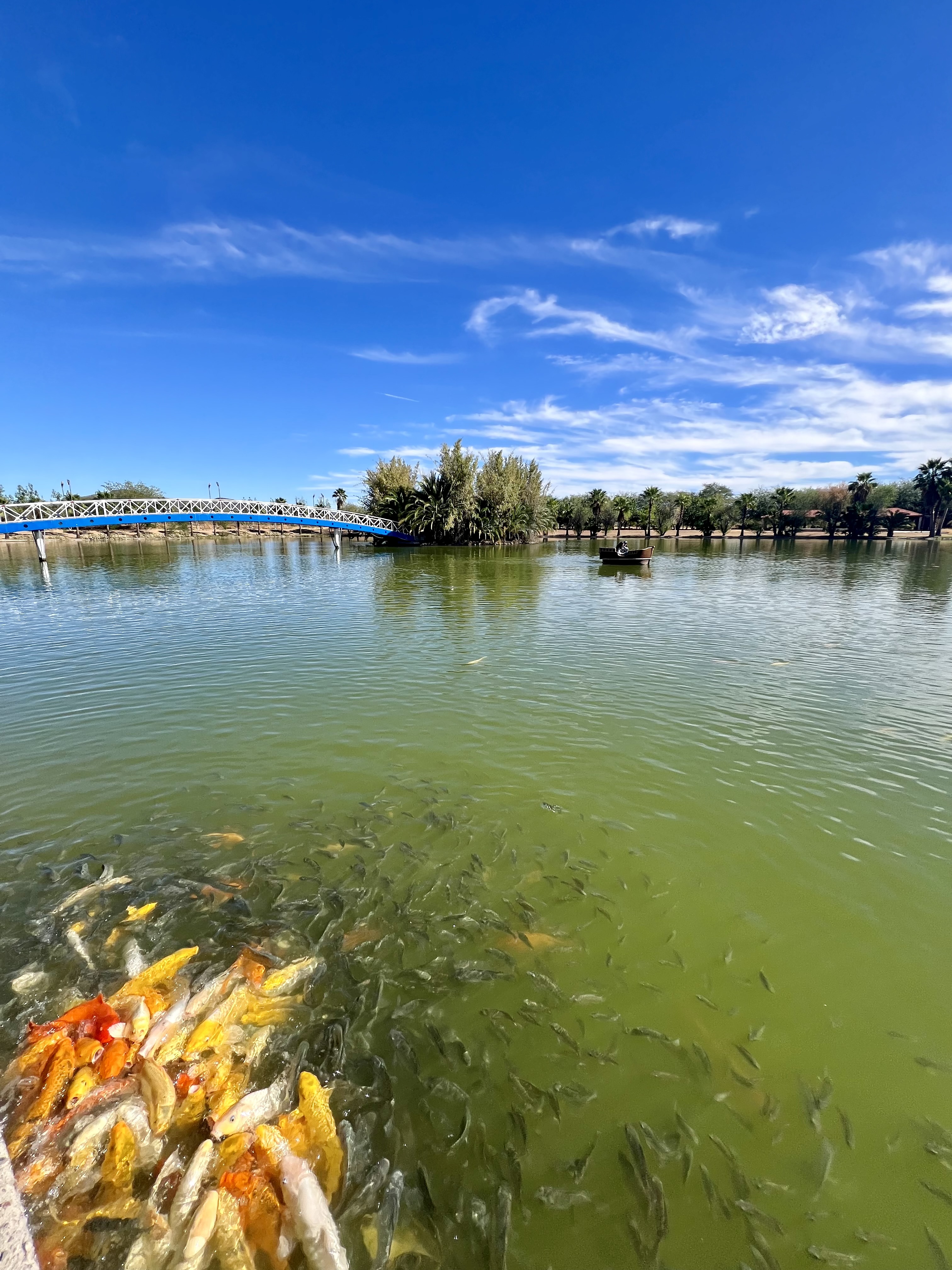 Sian Kaan 16 image 3