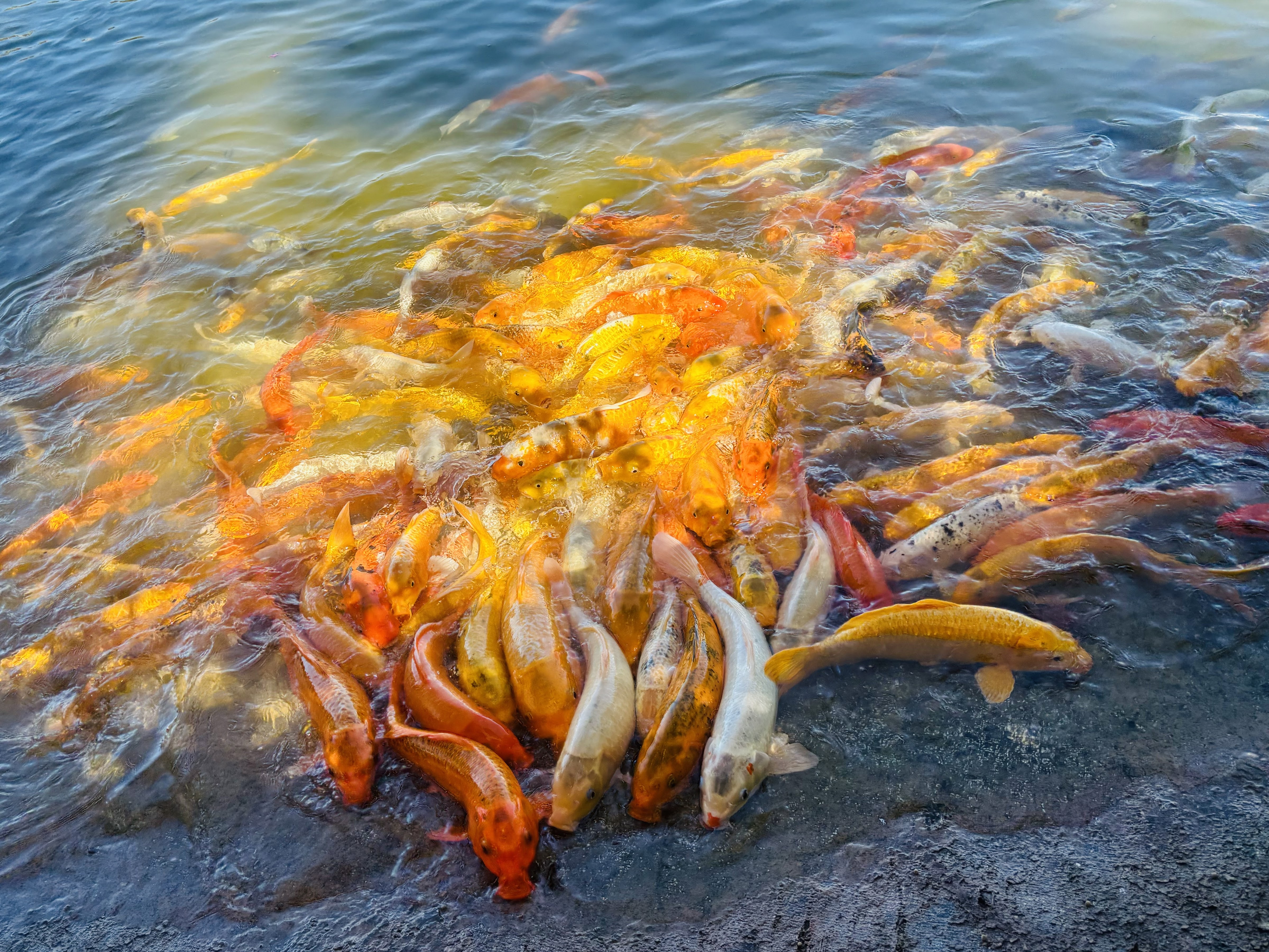 Sian Kaan 16 image 4