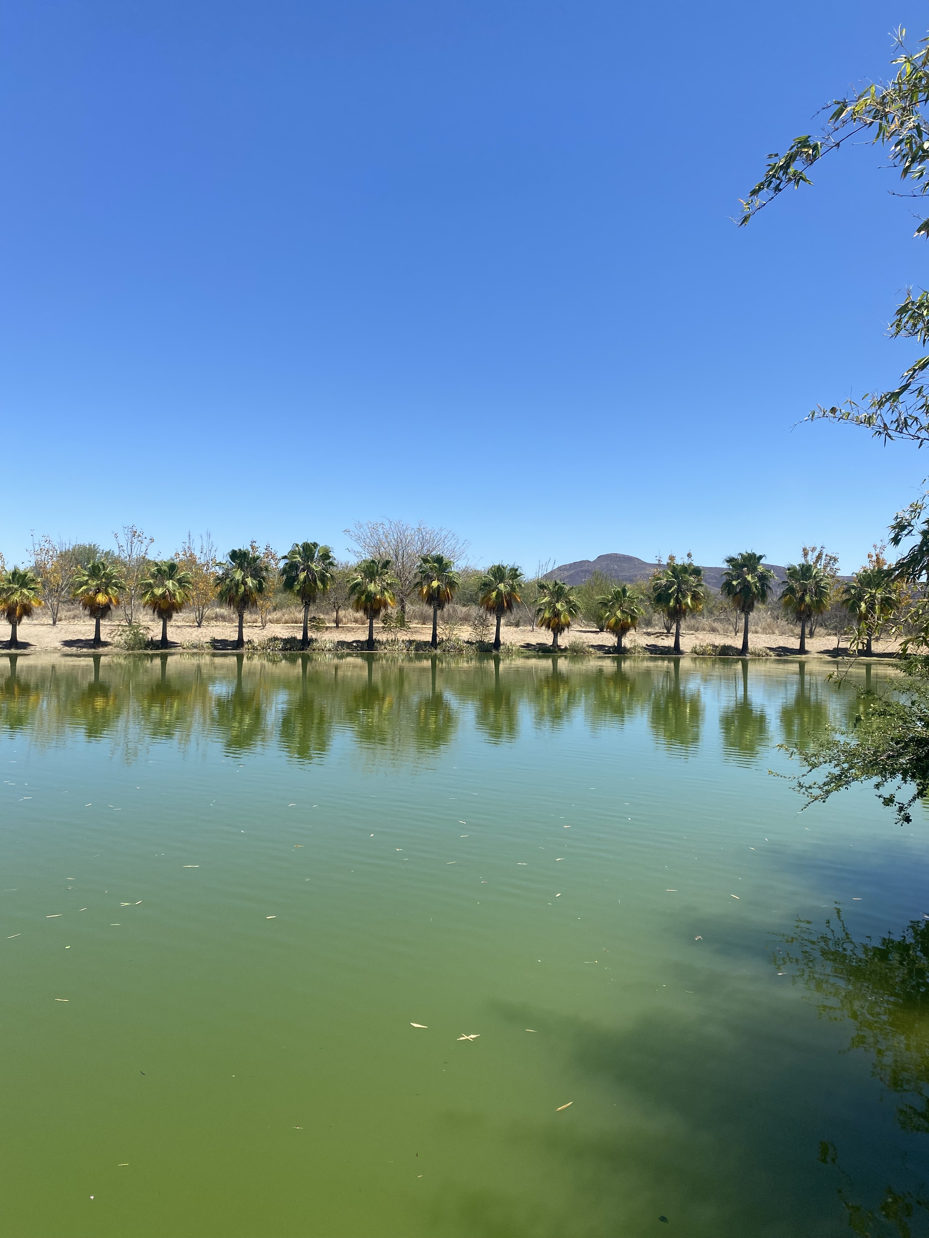 Sian Kaan 16 image 8