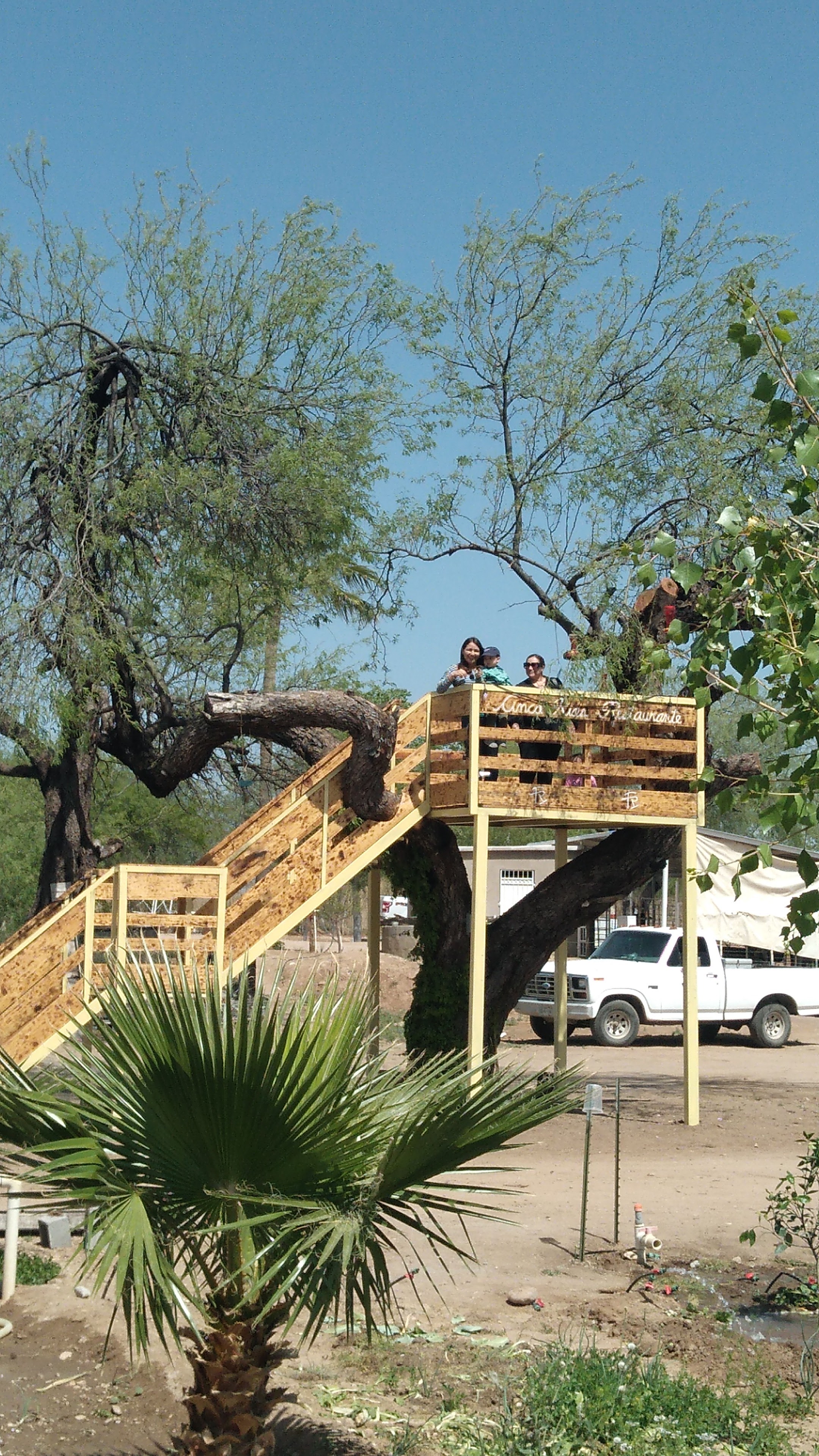 Cinco Ríos Restaurante image 5