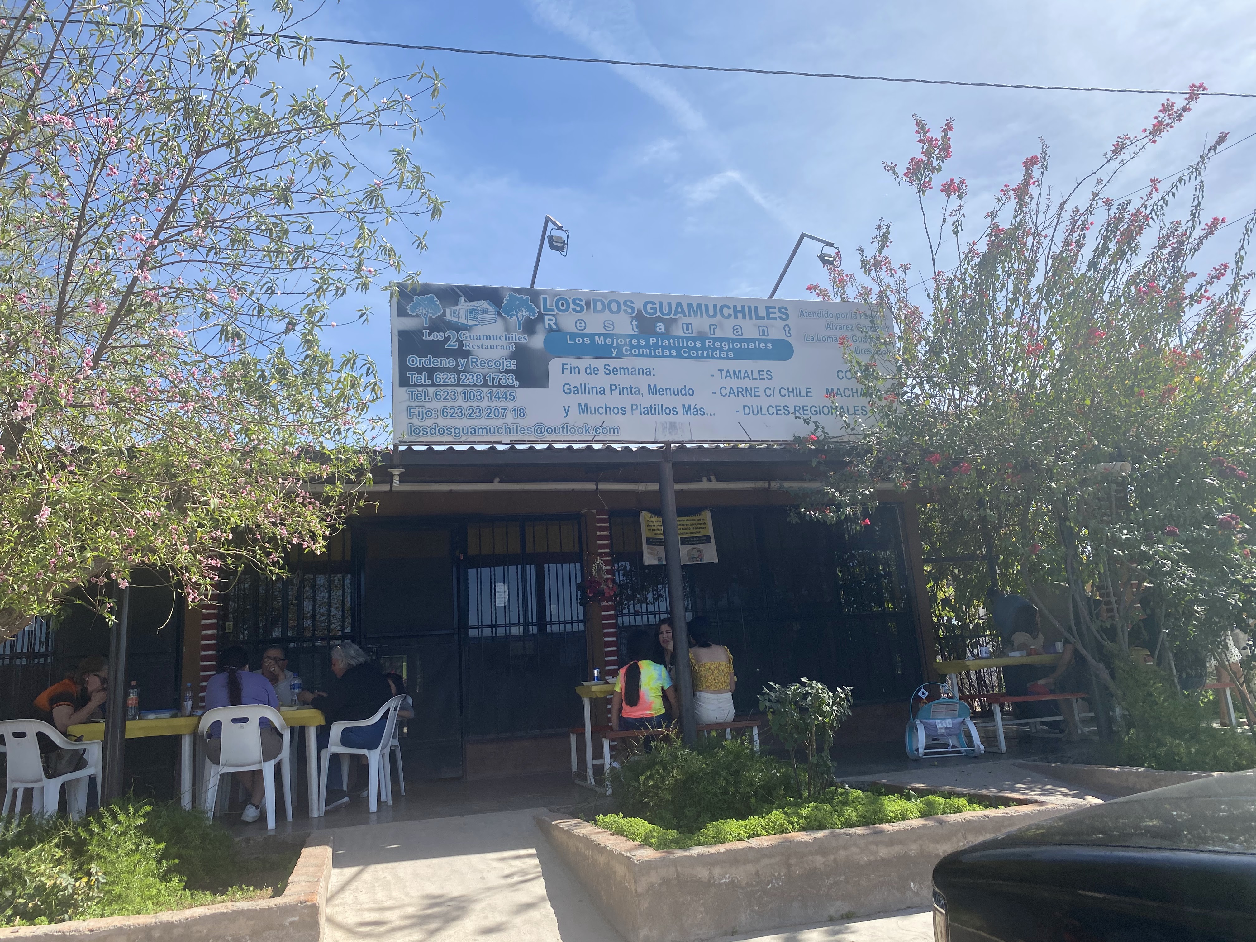 LOS DOS GUAMUCHILES image 1