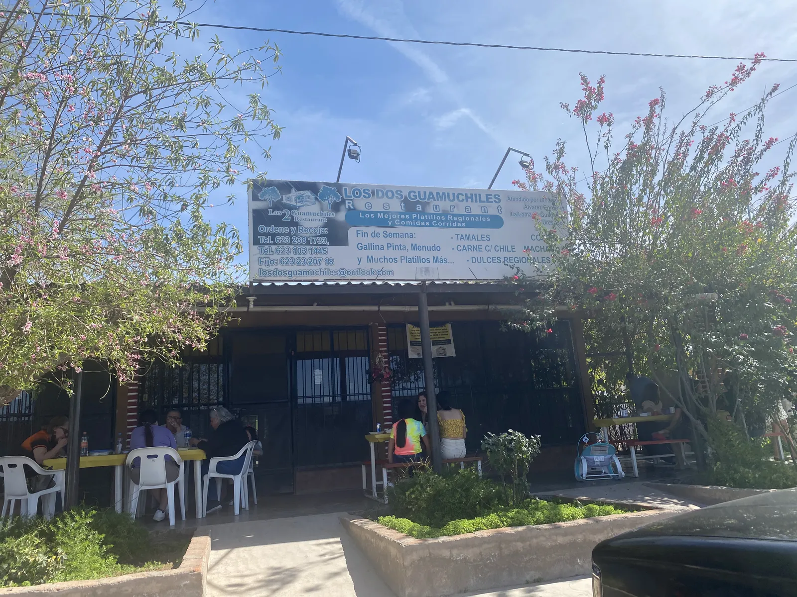 LOS DOS GUAMUCHILES image 1