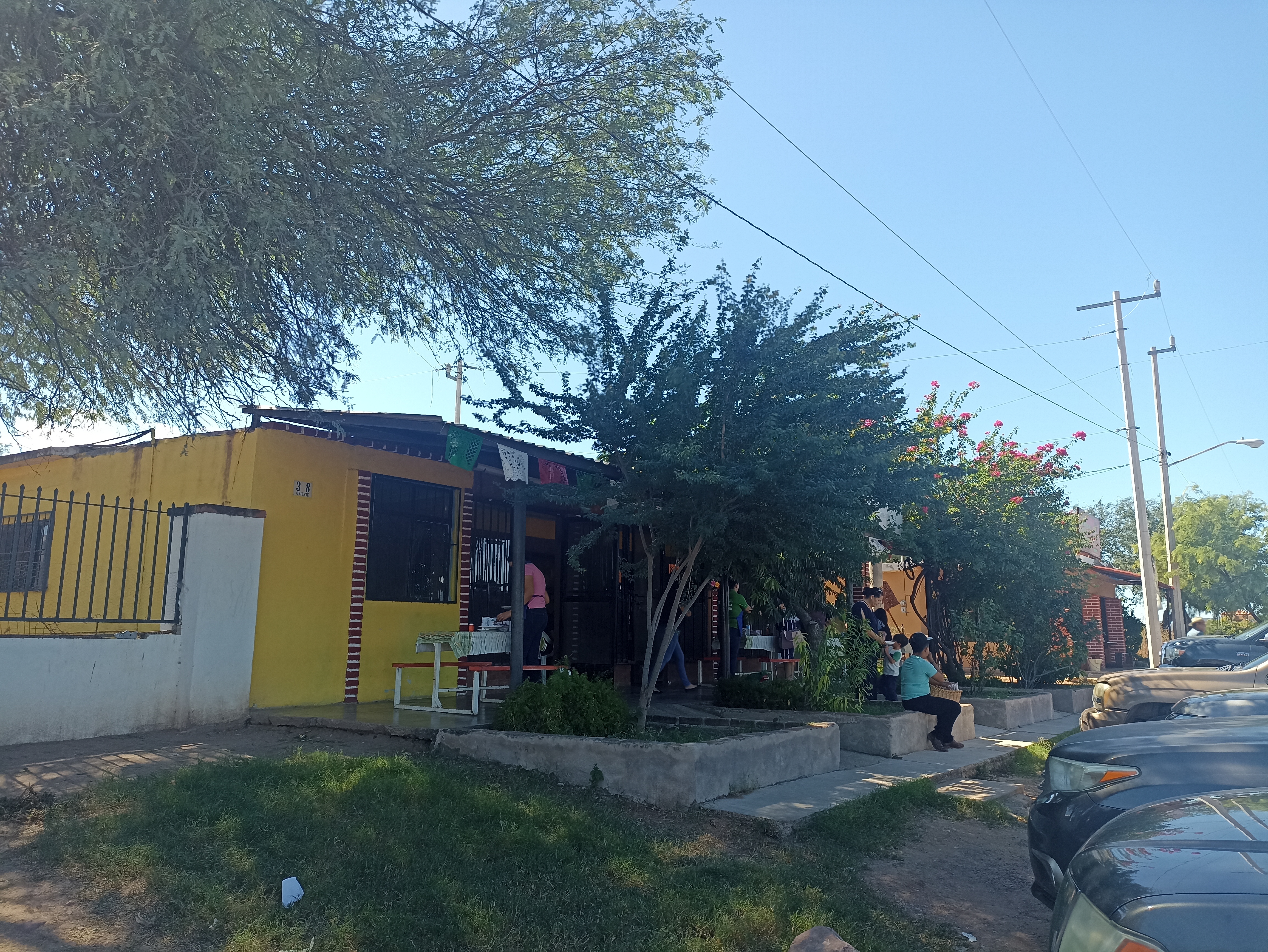 LOS DOS GUAMUCHILES image 7