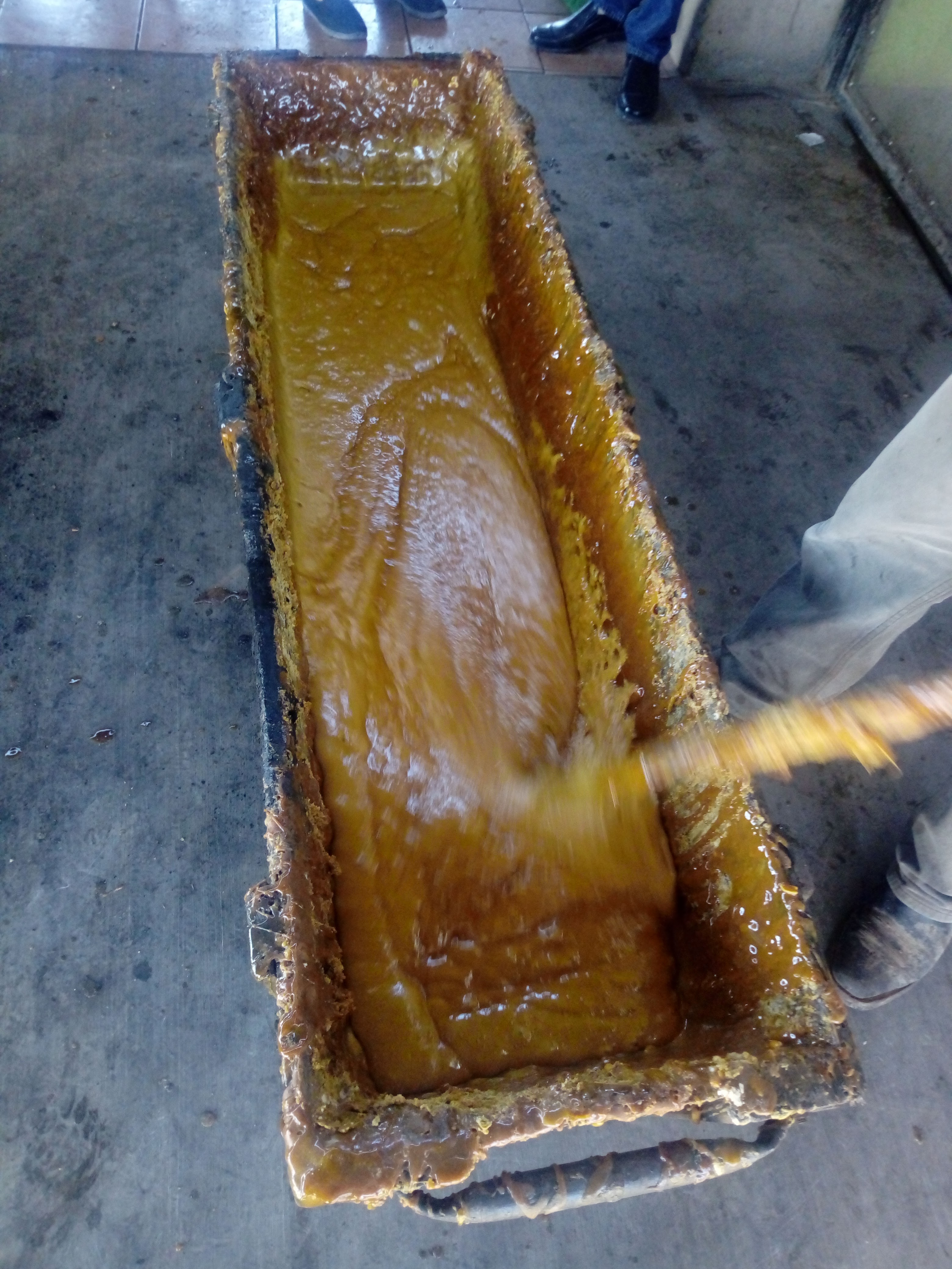 LOS DOS GUAMUCHILES image 9