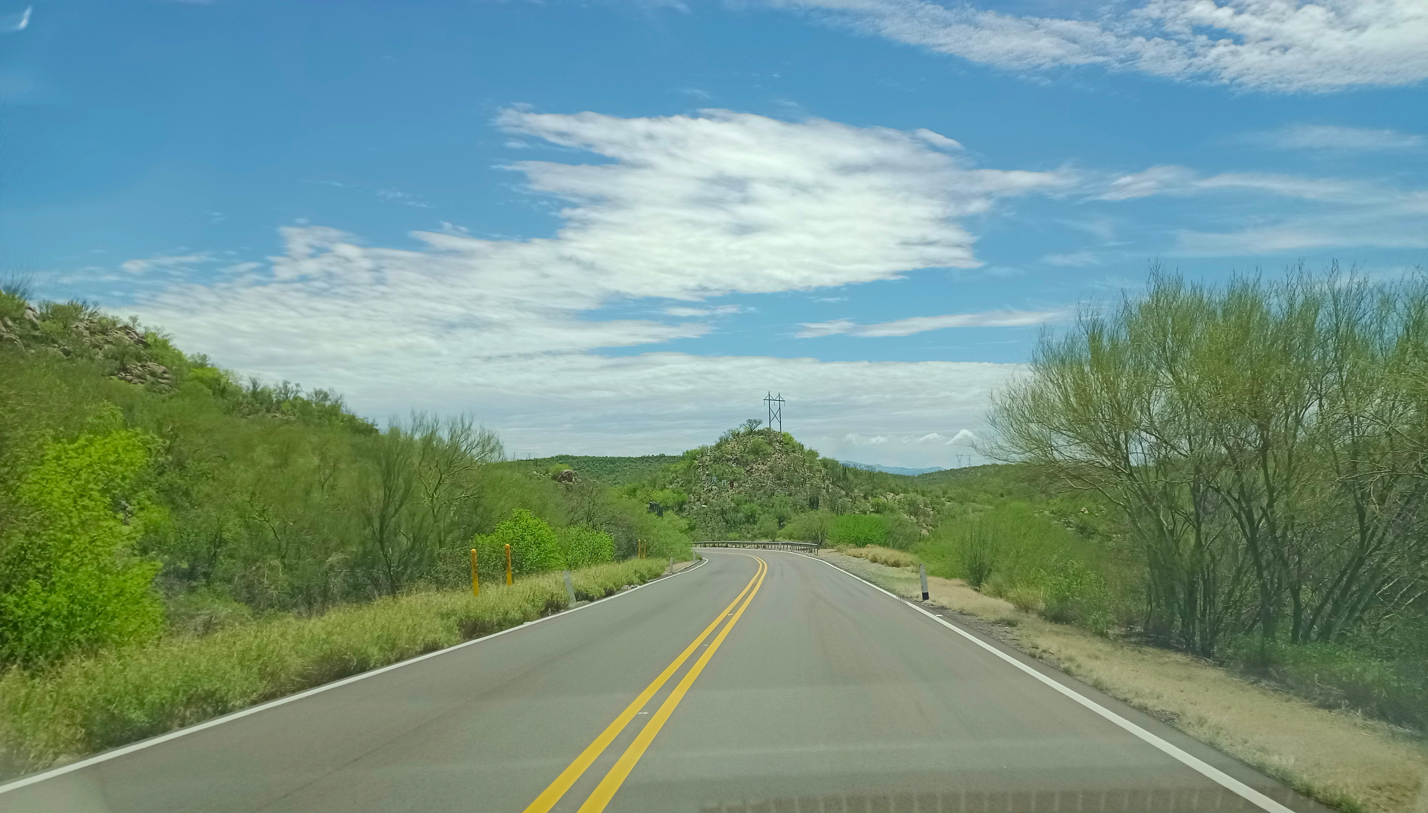 LOS DOS GUAMUCHILES image 10