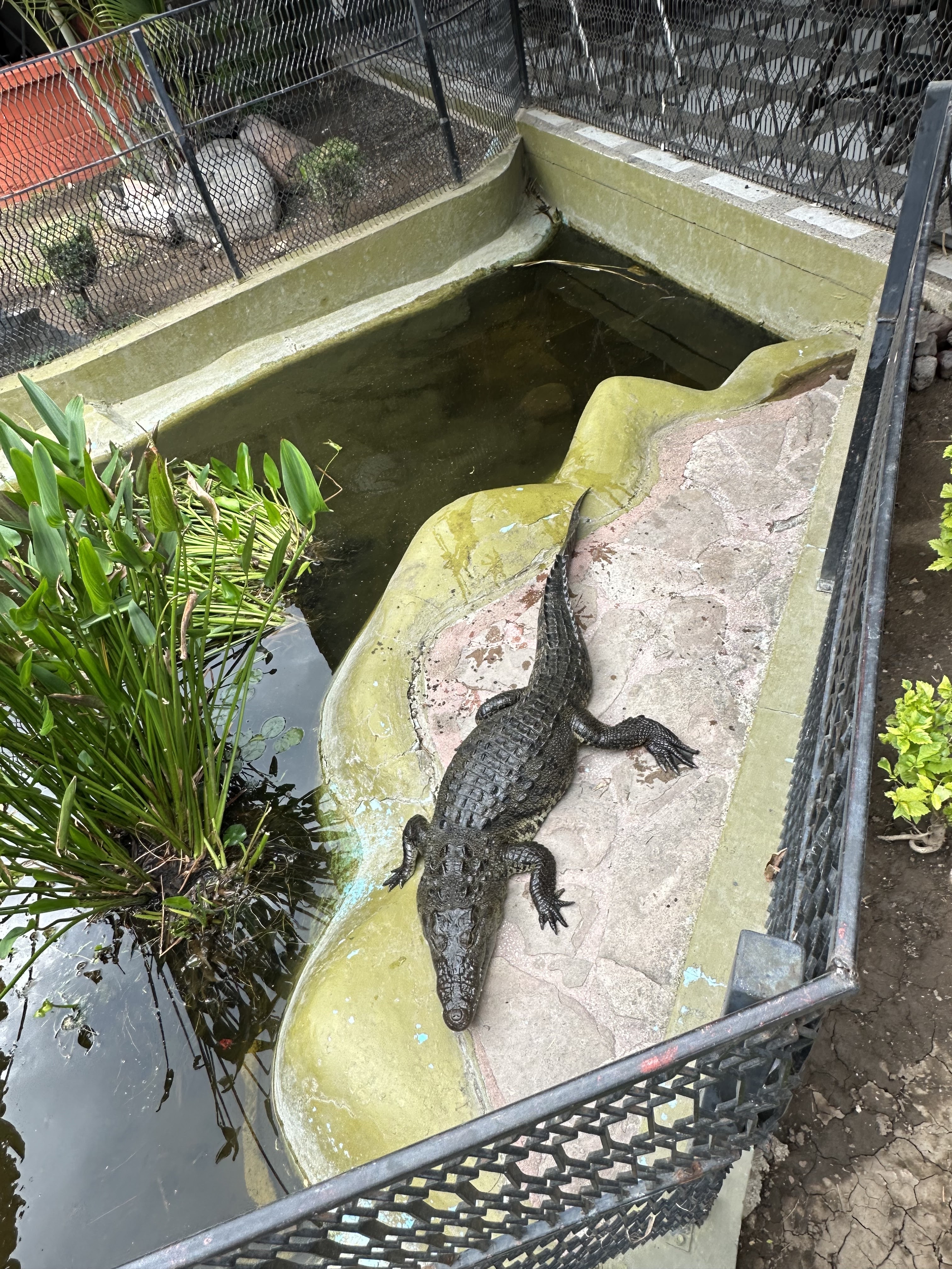 Arthur's de León image 8