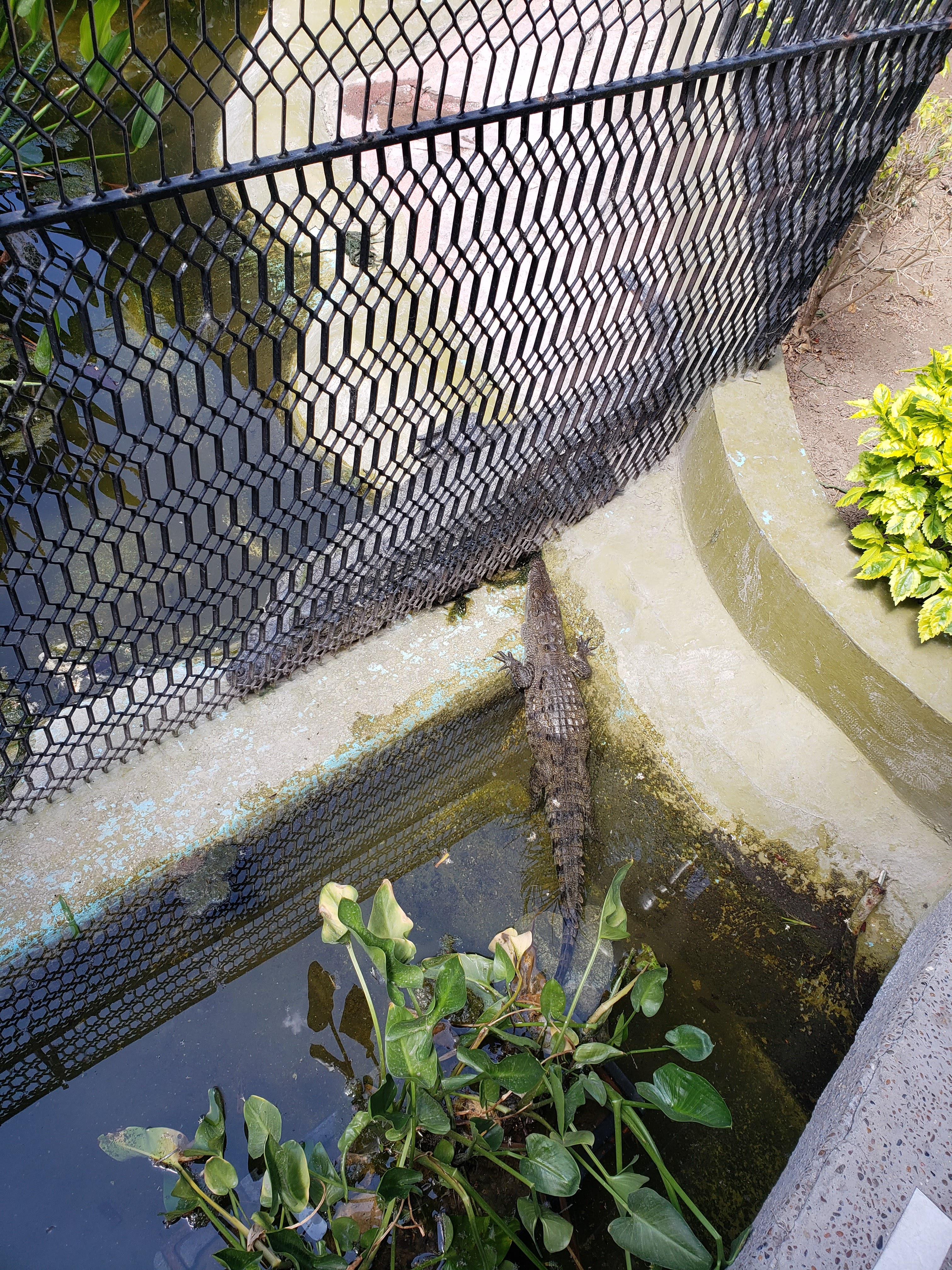 Arthur's de León image 9